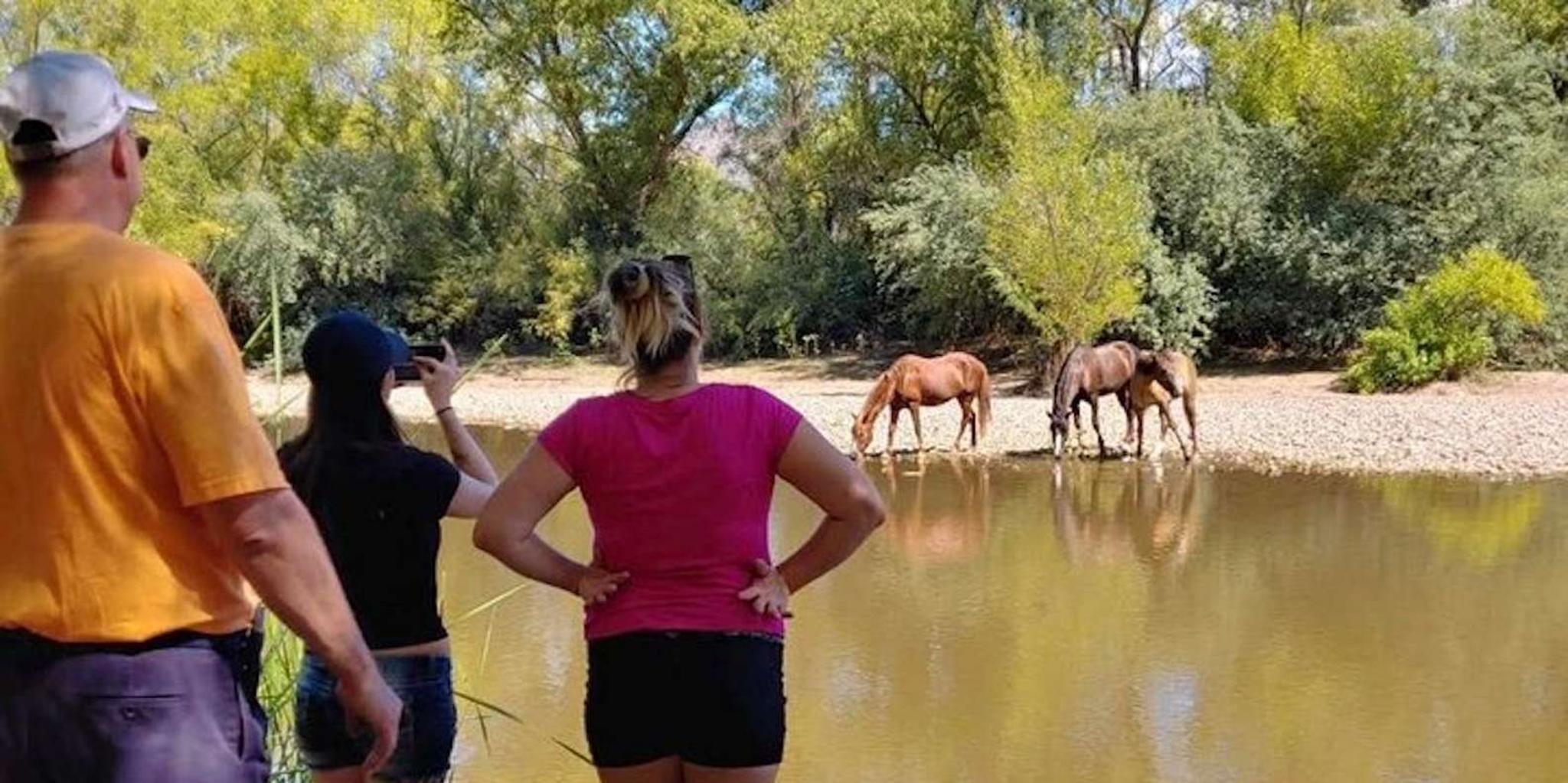 Scottsdale Sonoran Desert Jeep Tour - Image 2