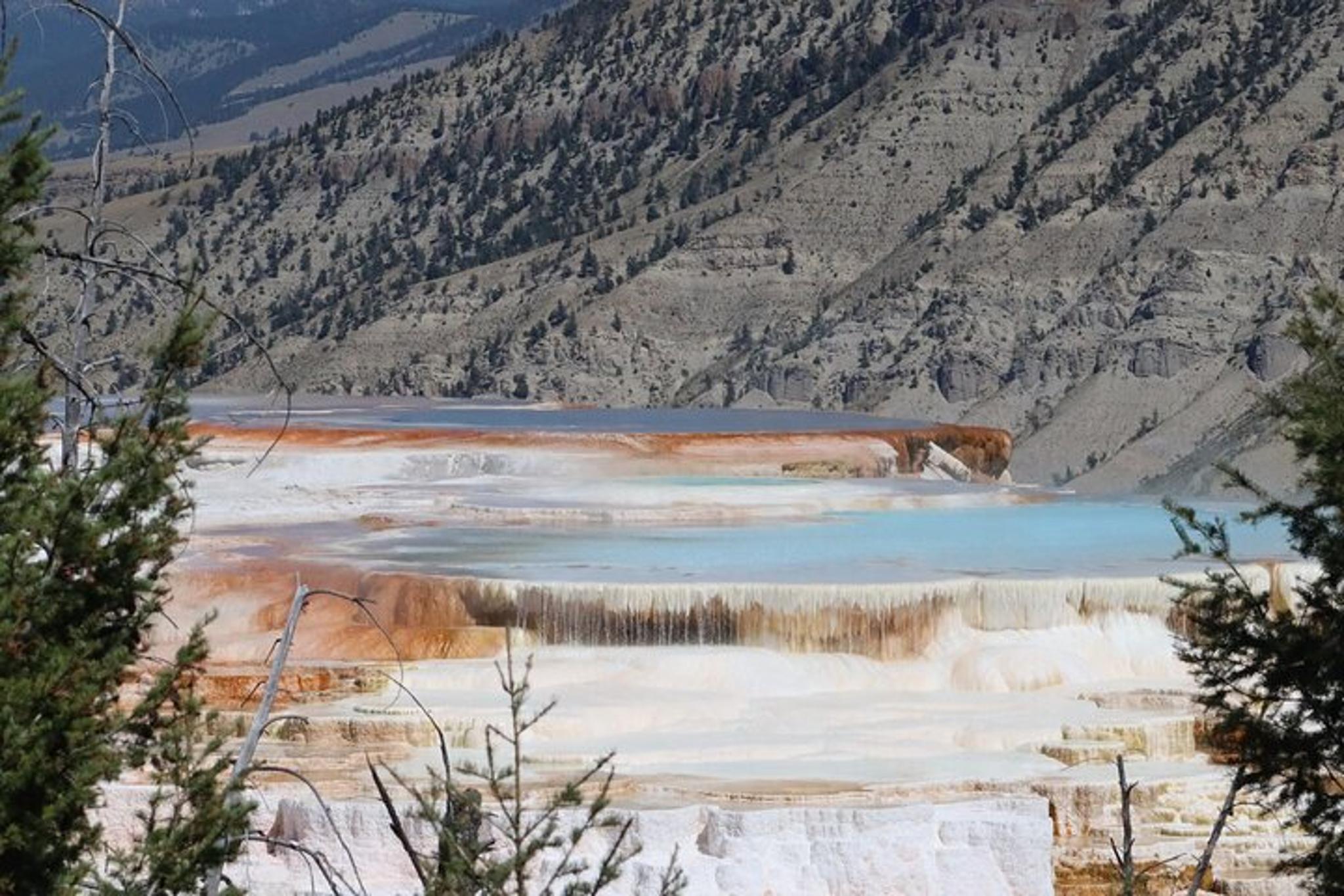 Yellowstone & Grand Teton Wildlife Tour 3-Day - Image 3