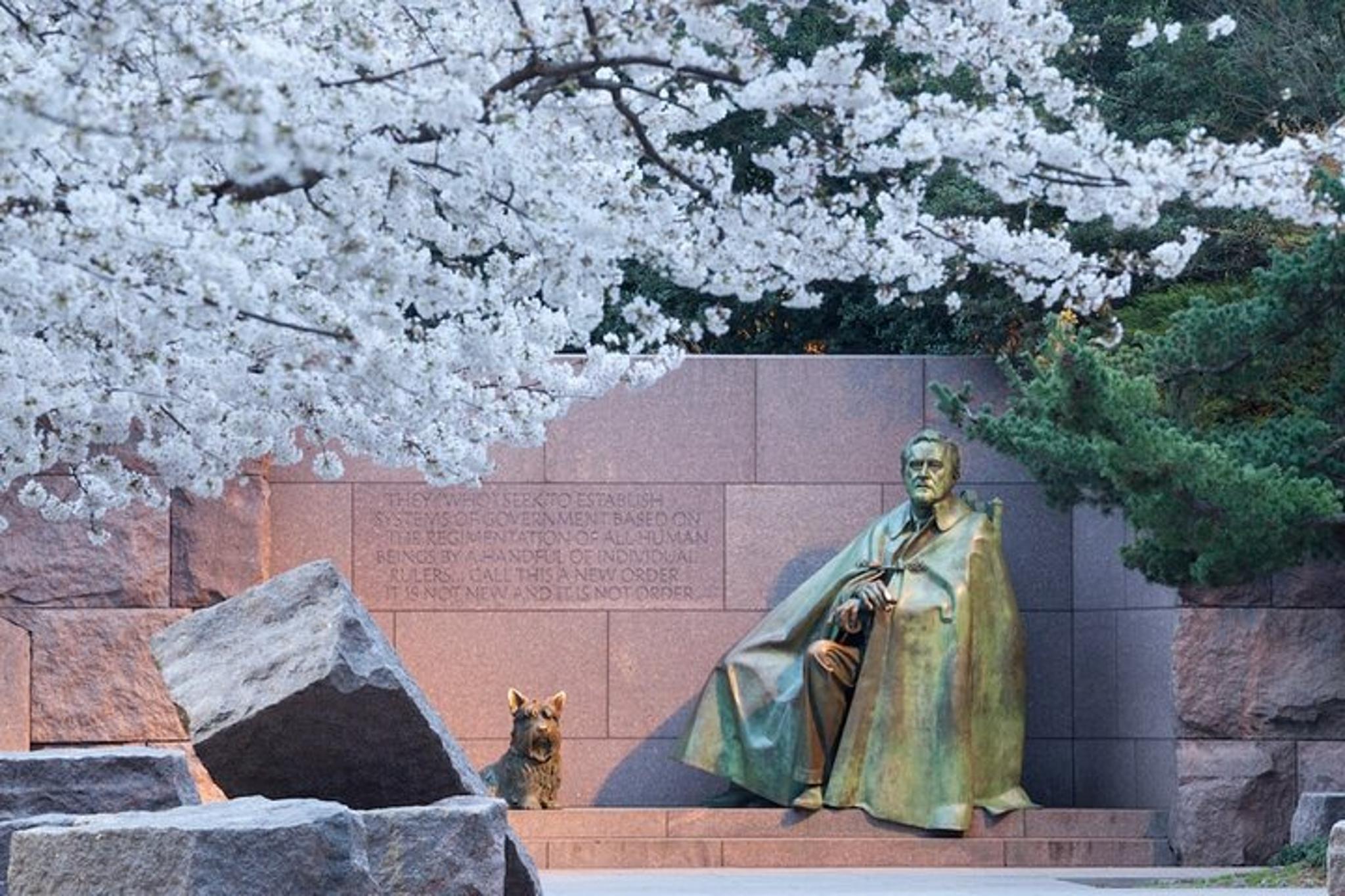 Washington D.C. Walking Tour of Jefferson, FDR, and MLK Memorials - Image 5