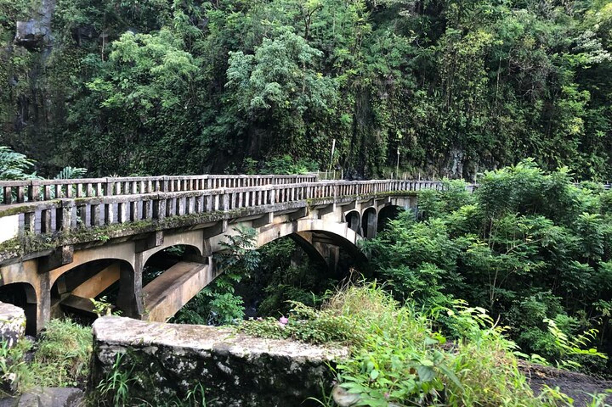 Maui Road to Hana Private Tour - Image 6