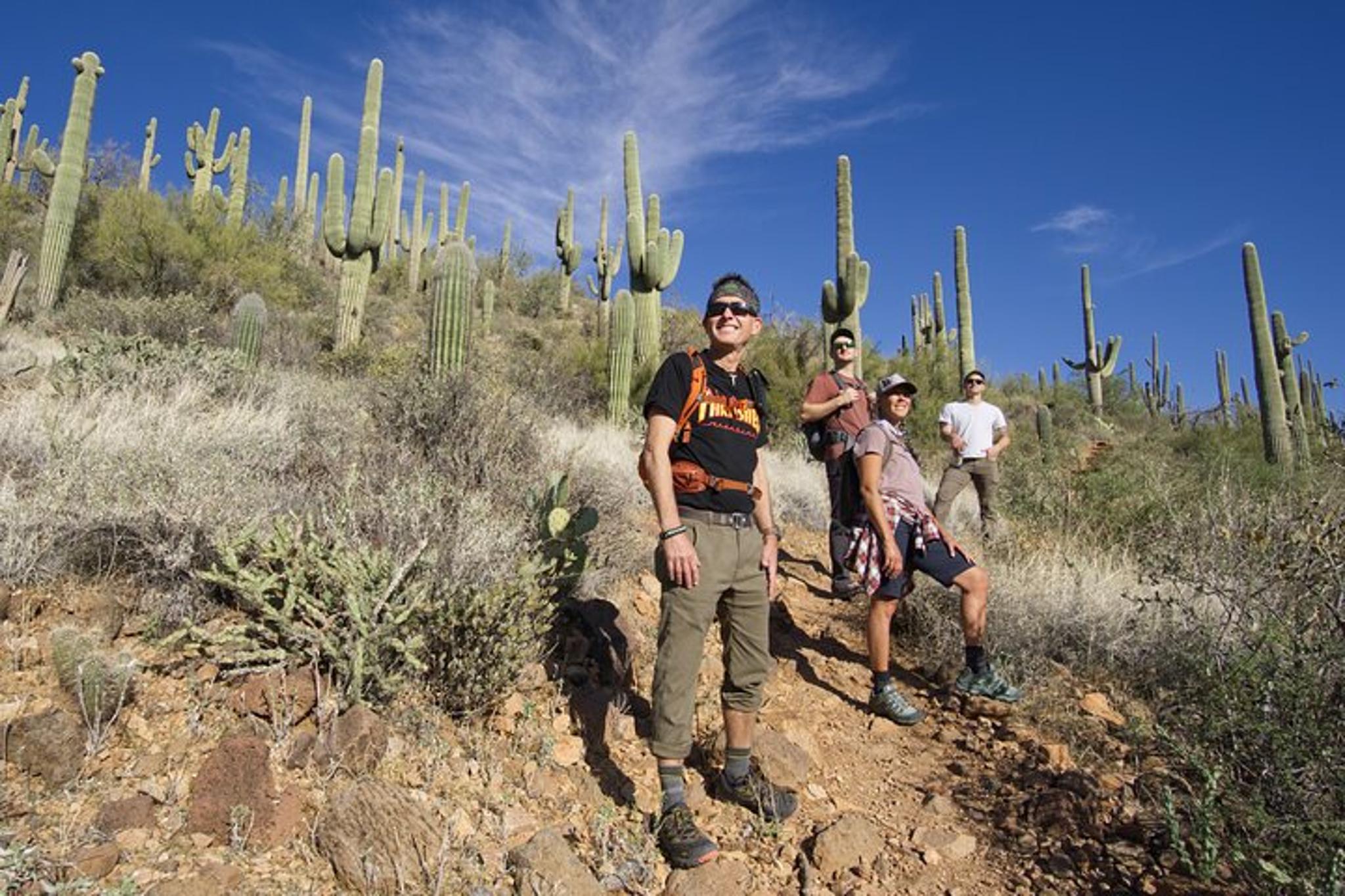 Phoenix Guided Hiking Adventure in the Sonoran Desert - Image 6
