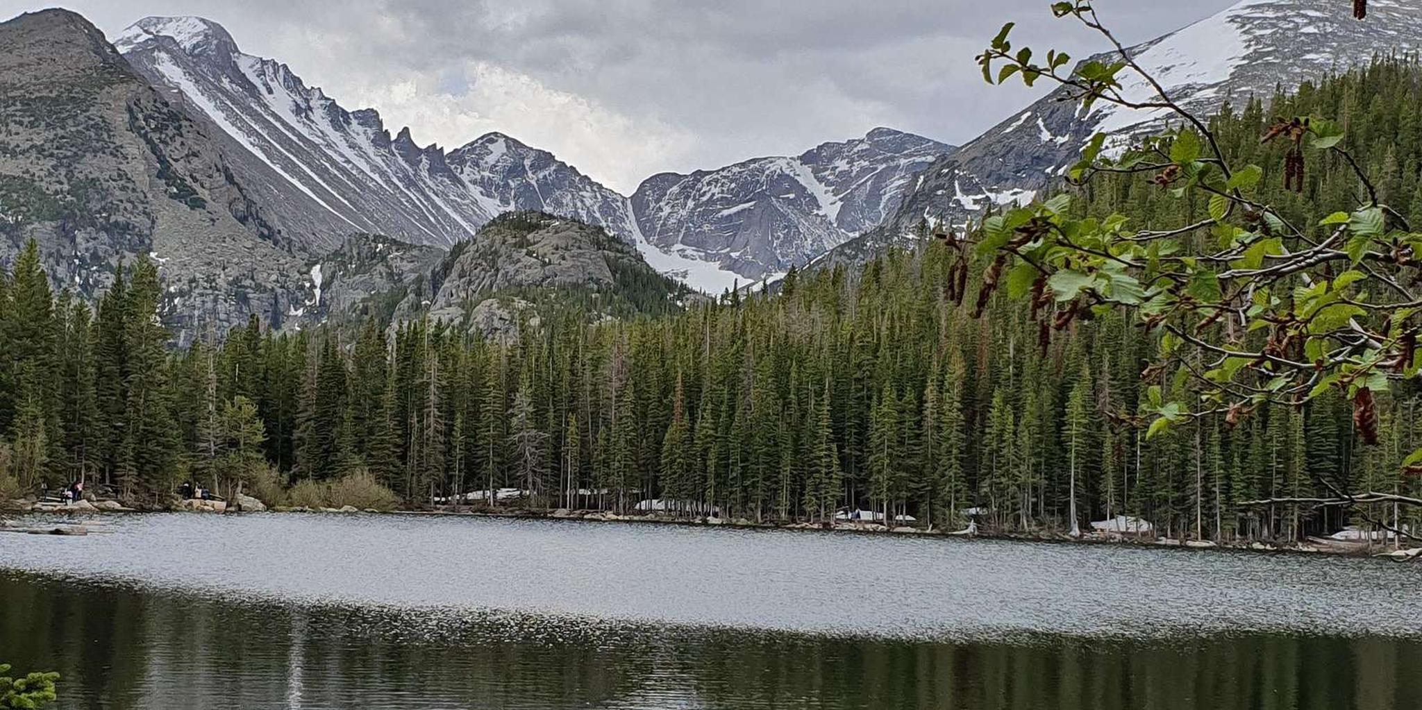 Estes Park Bear Lake Corridor Photography Tour 3 hr