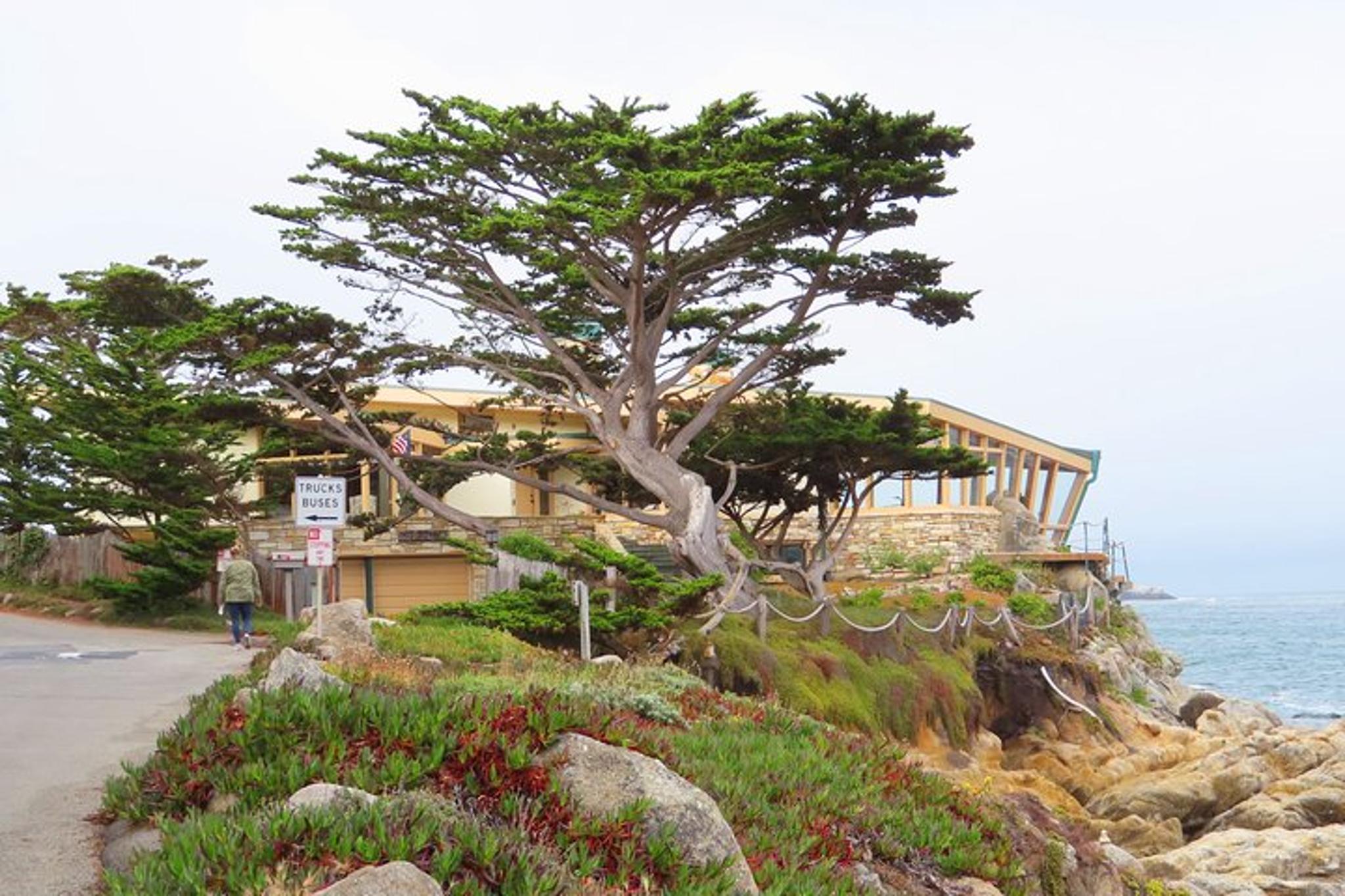 Carmel Point Self-Guided Audio Tour