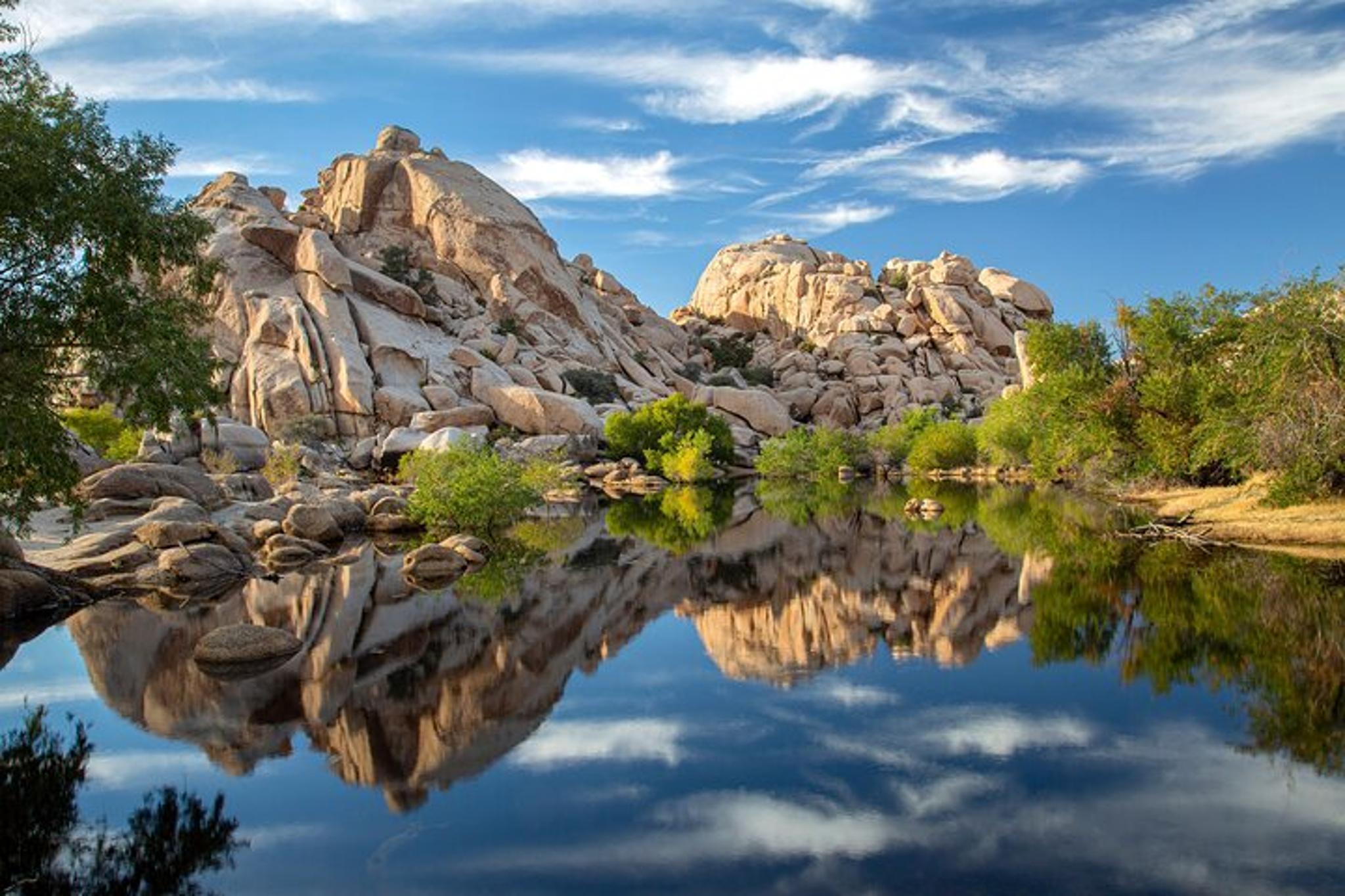 Joshua Tree National Park Self-Guided Audio Tour