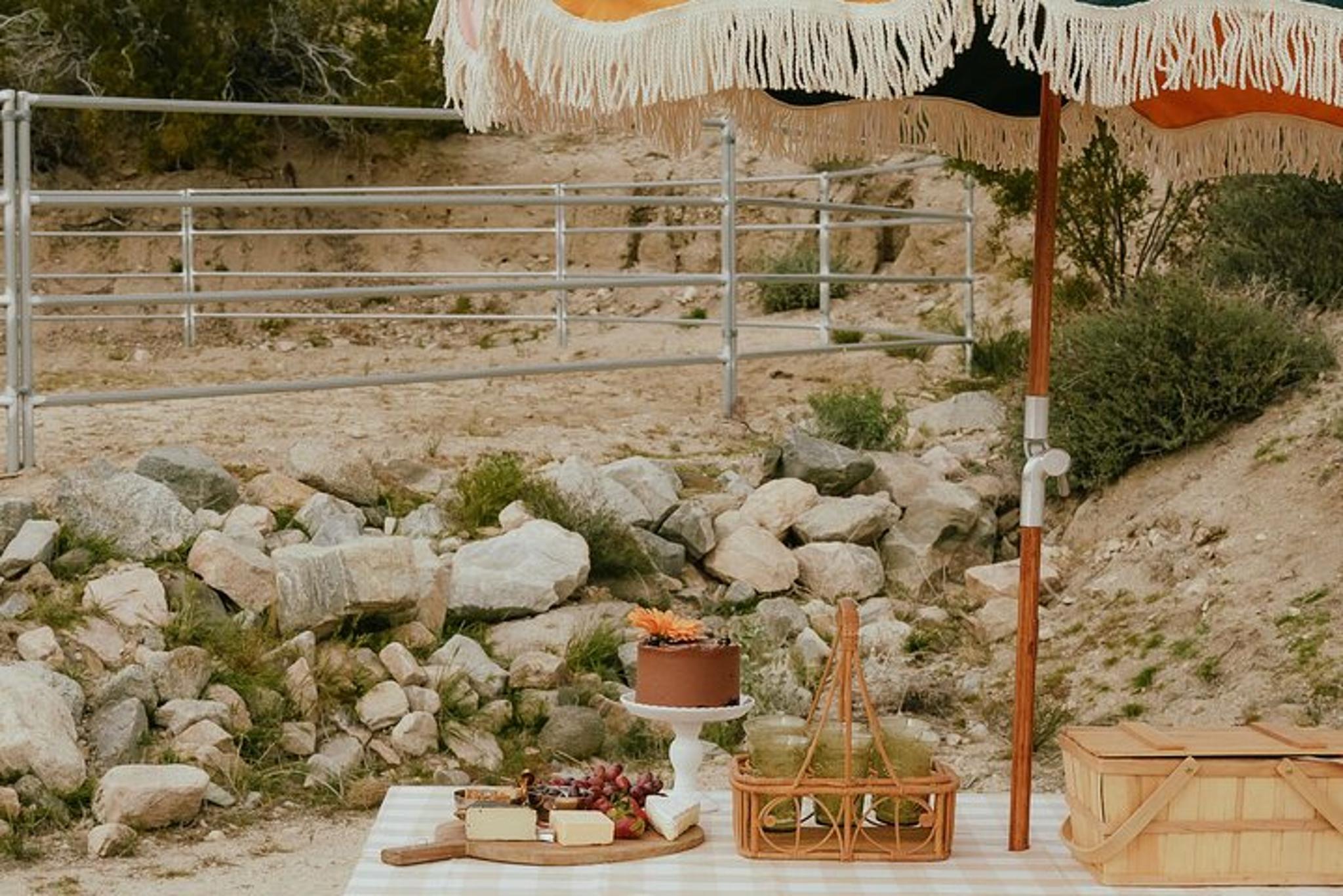 Southern California Brunch with Mini Rescue Burros - Image 6