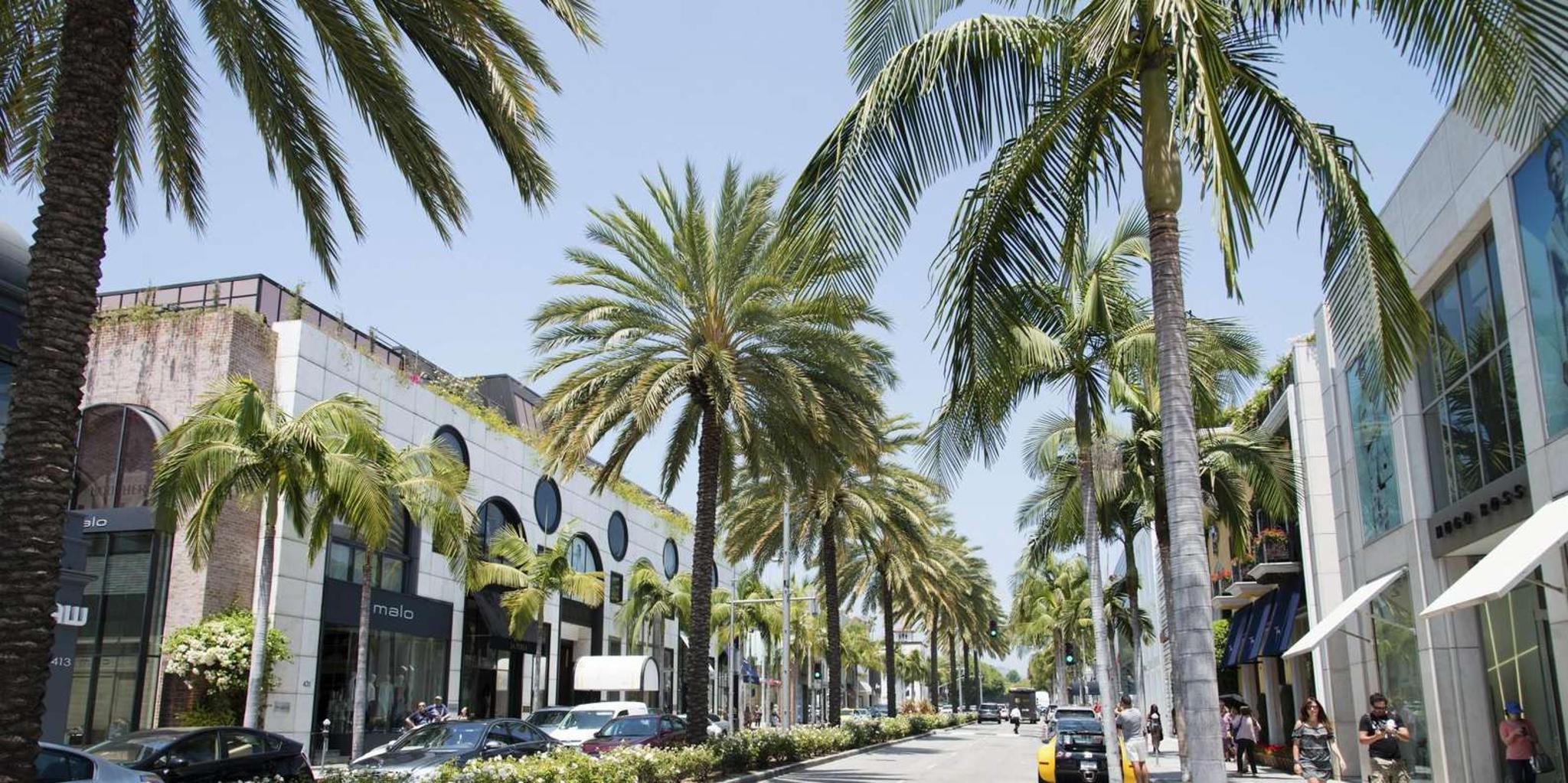 Los Angeles Private Tour - Image 6
