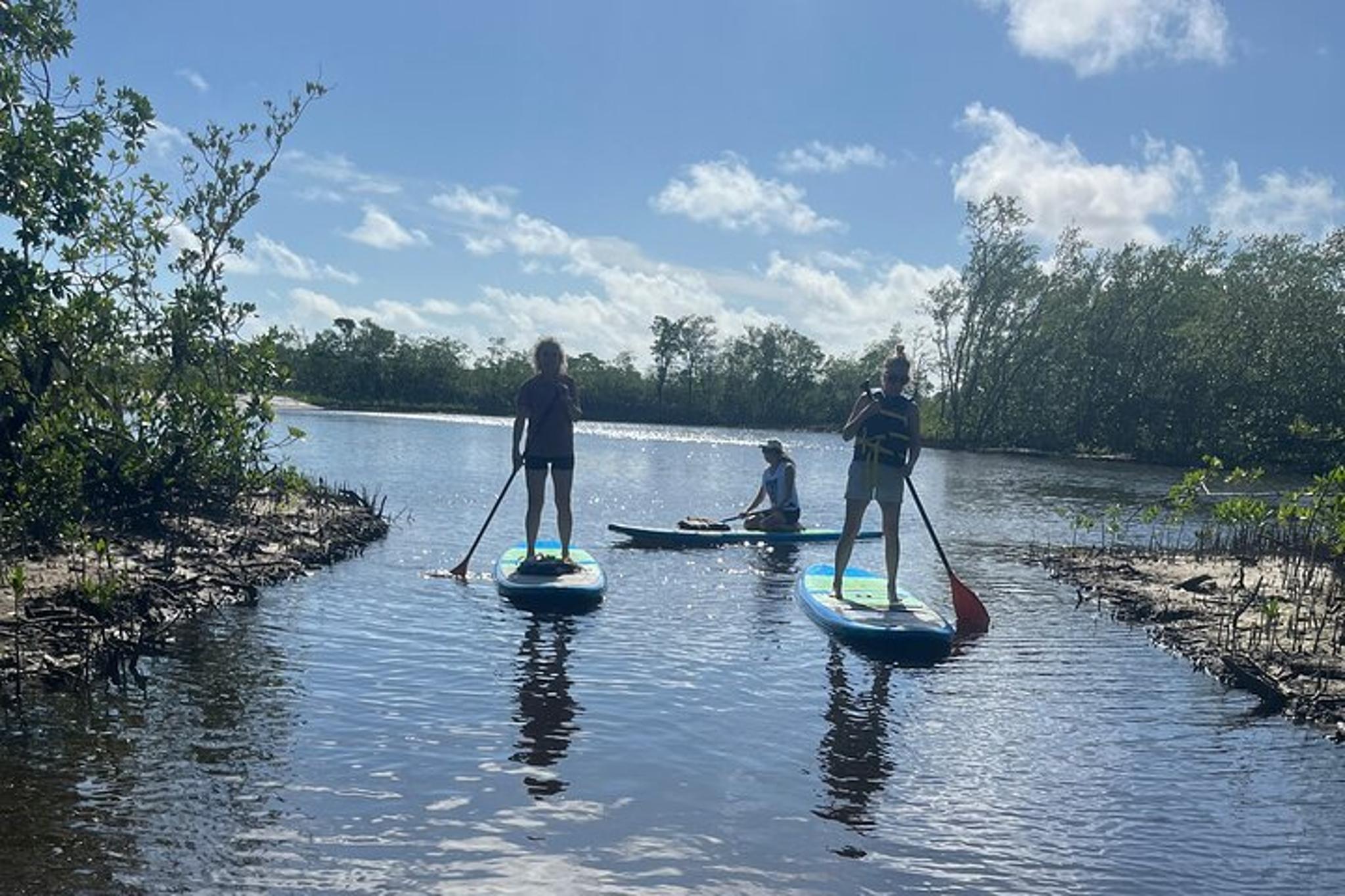 Jupiter Paddleboard Tour - Image 4