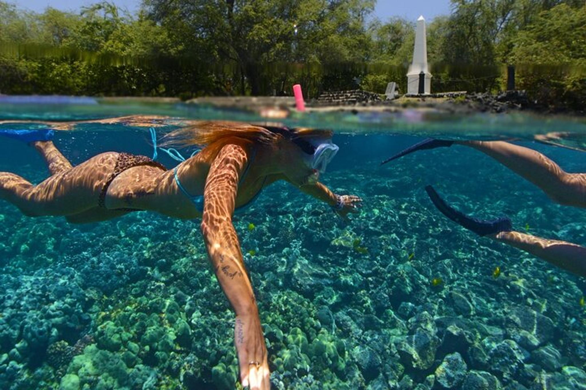 Kona Morning Snorkel Tour in Kealakekua Bay - Image 6