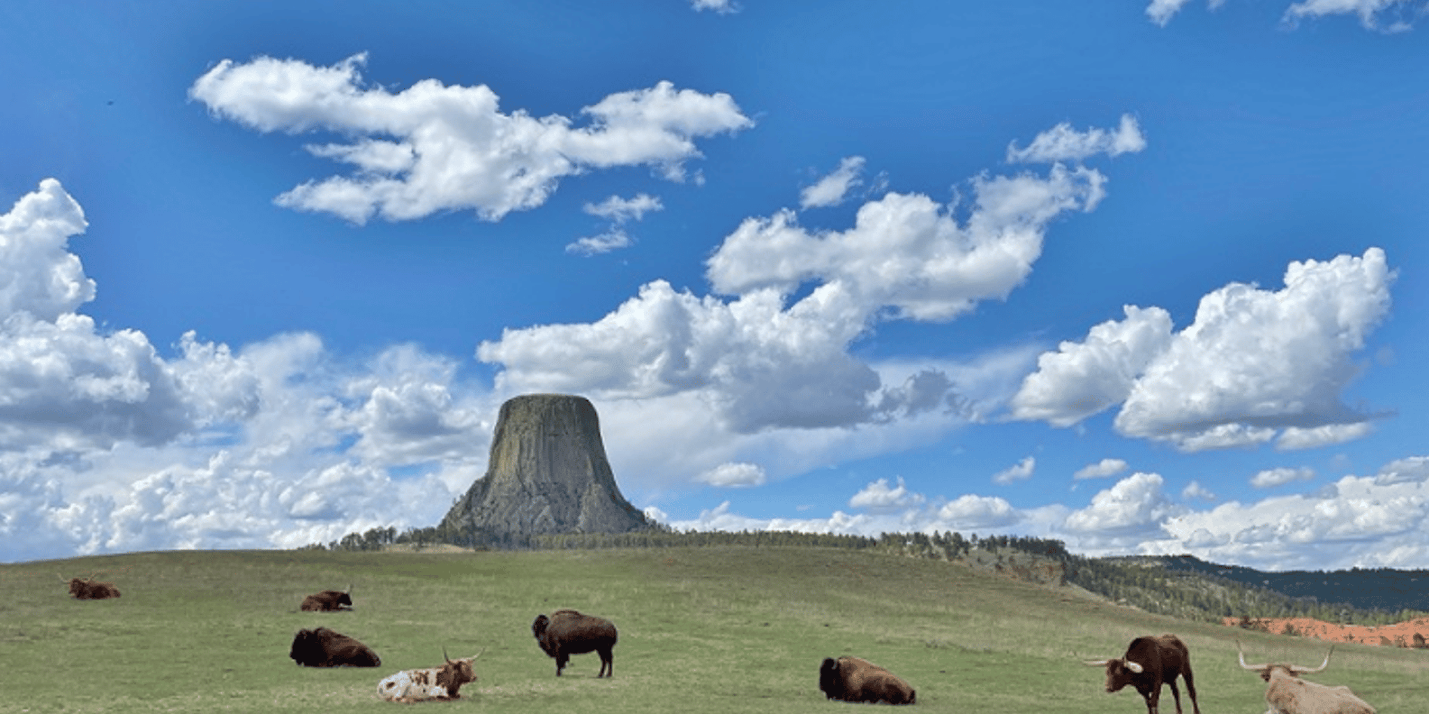 Rapid City Devils Tower Day Trip - Image 2