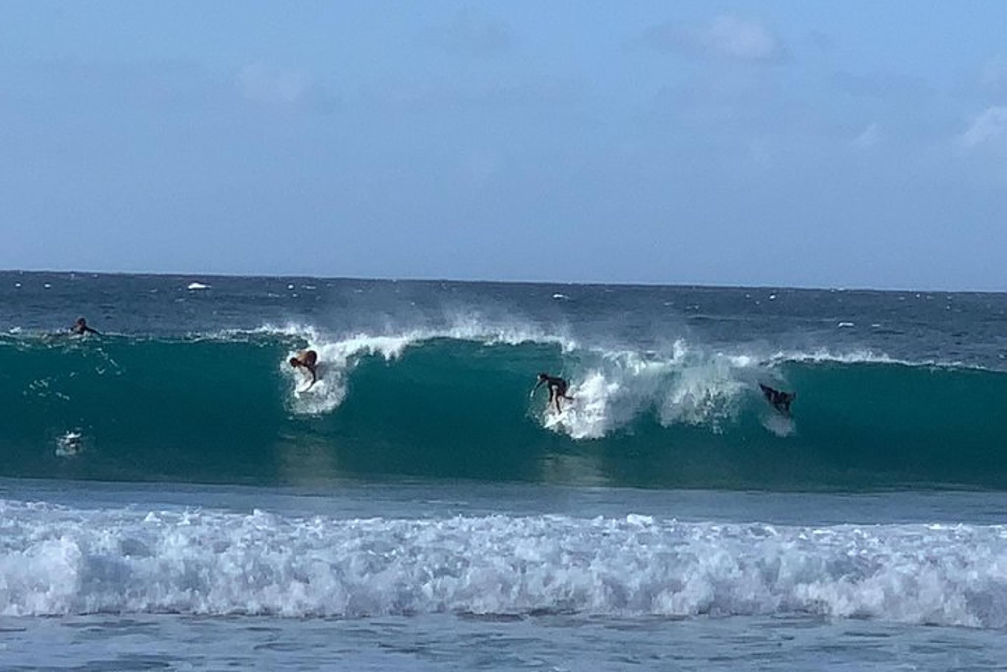 Oahu Private Tour: Beaches, Food & Aloha - Image 1