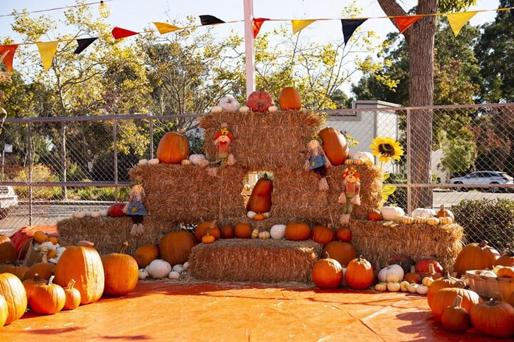 Santa Clara Halloween Family Fun Tour