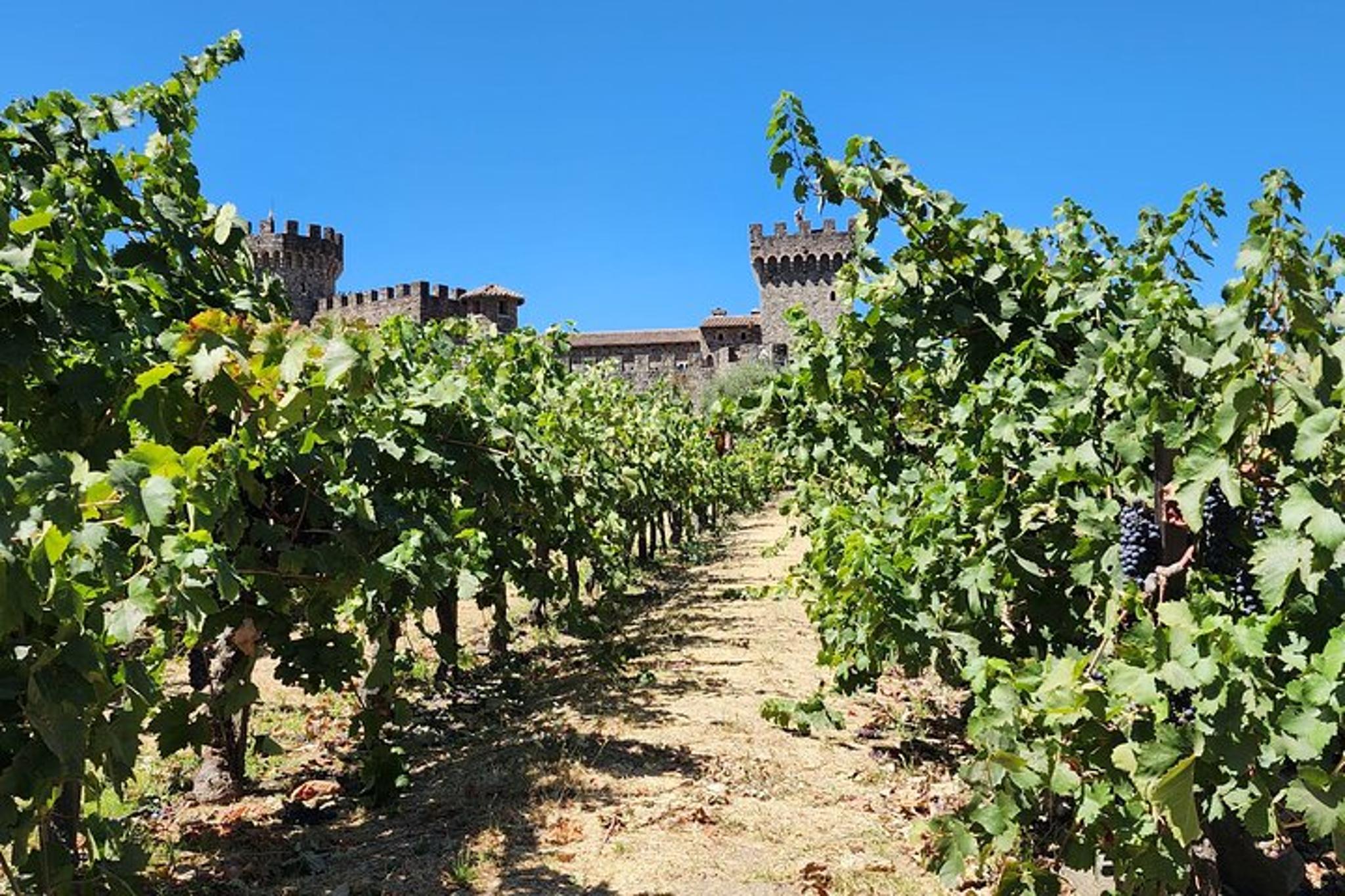 Napa Valley Private Vehicle Transportation - Image 2