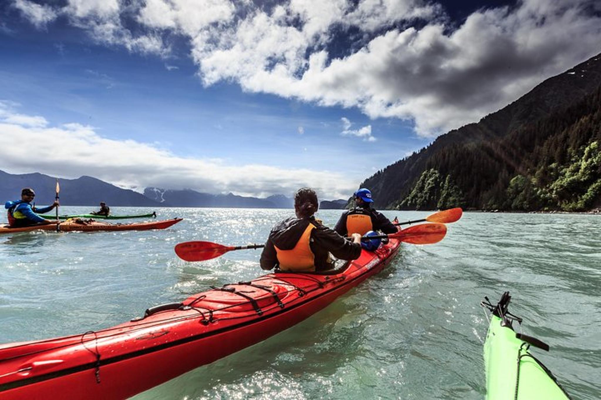 Seward Kayaking Adventure in Resurrection Bay - Image 3