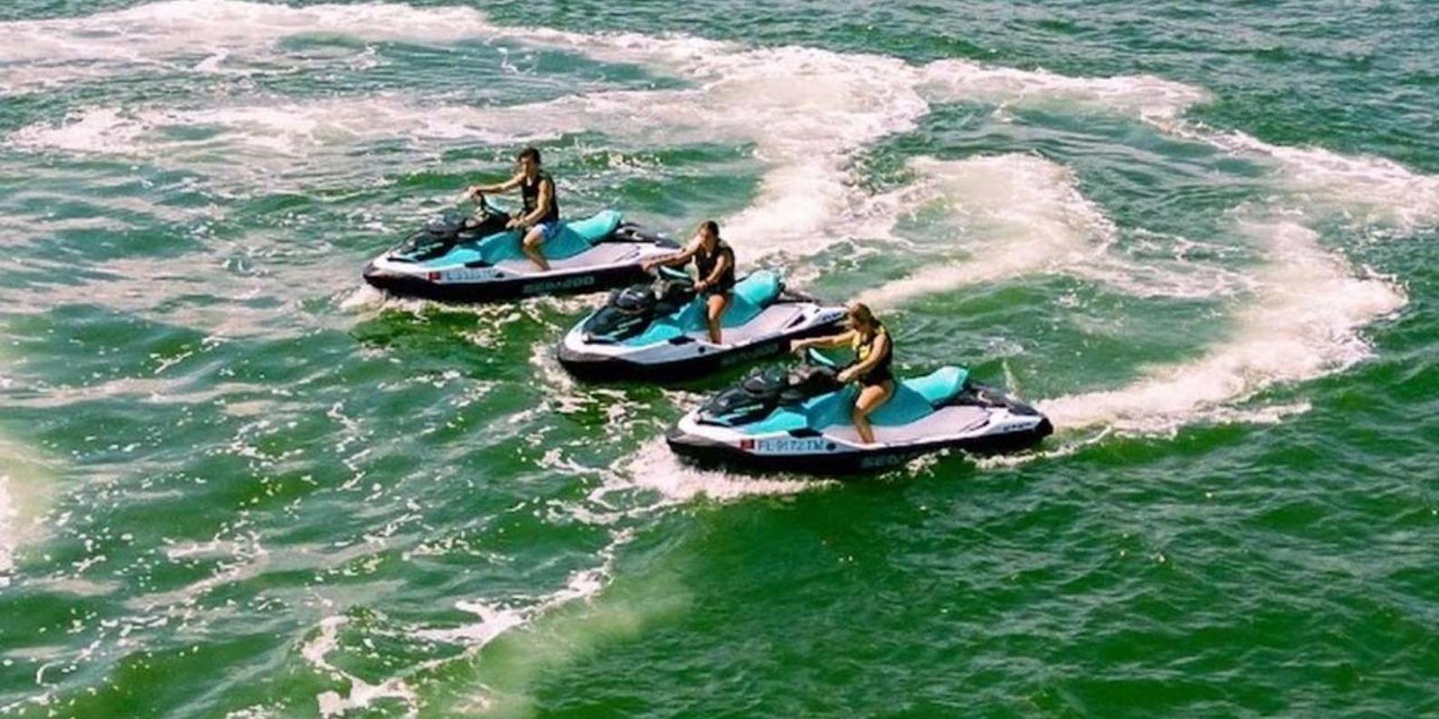 Clearwater Jet Ski Dolphin Tour 1 Hour - Image 4