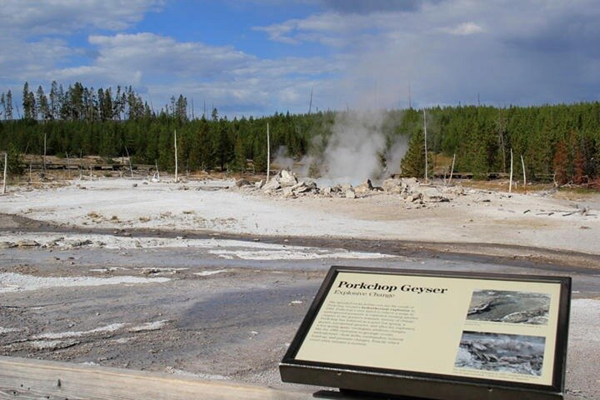 Yellowstone Lower Loop Private Tour with Lunch - Image 2