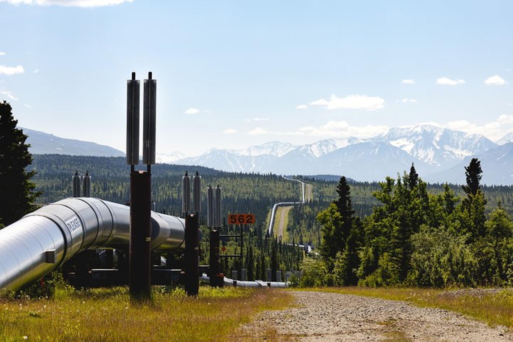 Fairbanks Scenic Van Tour - Image 5