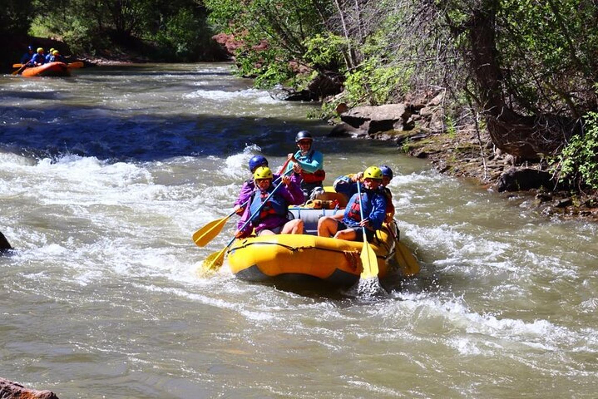 Telluride Rafting Tour on the San Miguel River - Image 5