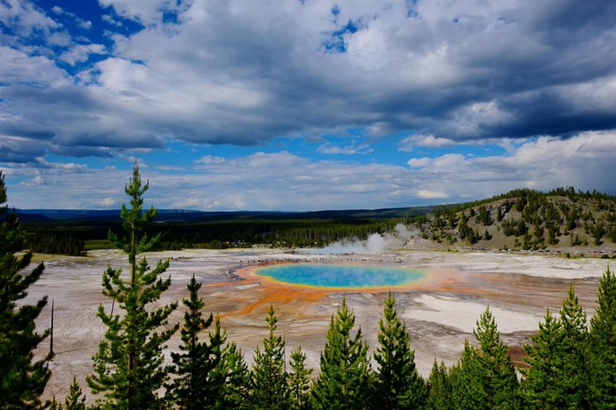 Yellowstone Wildlife and Iconic Sites Tour - Image 2