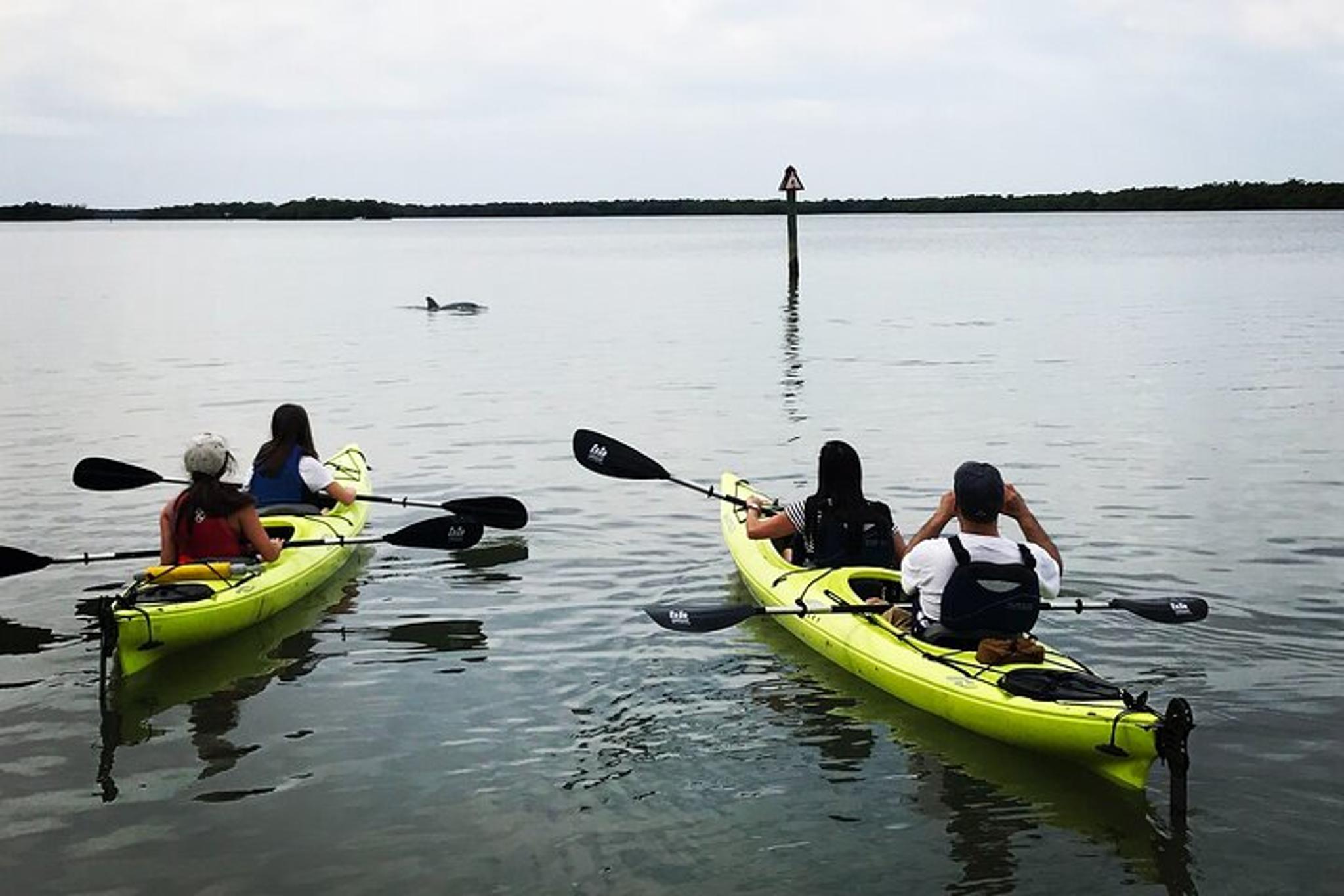 Naples Kayak Tour in Rookery Bay 2 hr