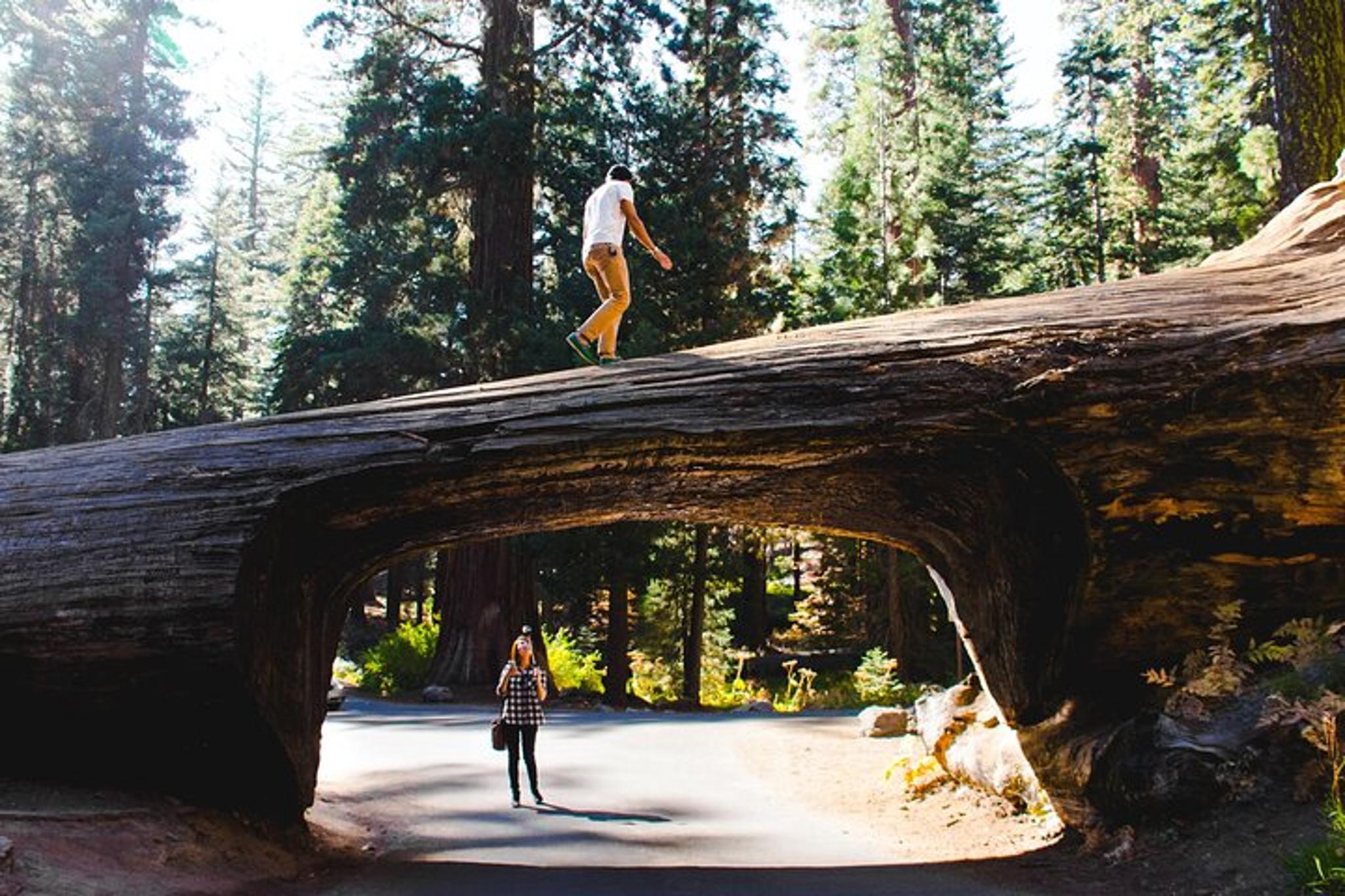 Sequoia & Kings Canyon Private Tour & Hike 2 Days - Image 3