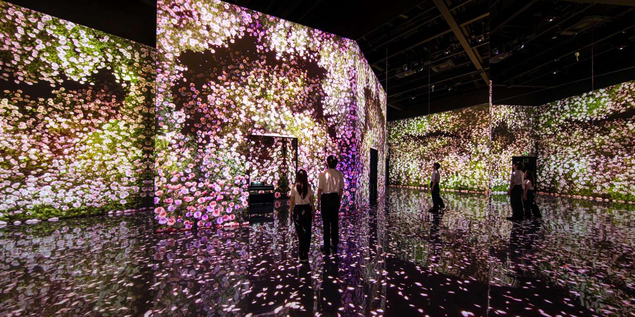 Las Vegas Arte Museum Immersive Art Exhibition - Image 3