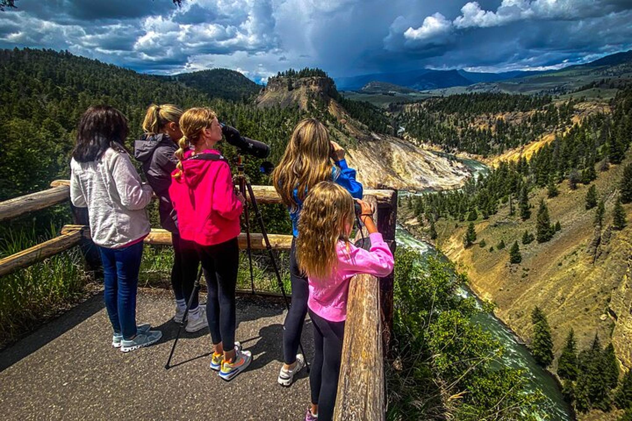Yellowstone and Grand Teton National Parks Day Tour - Image 2