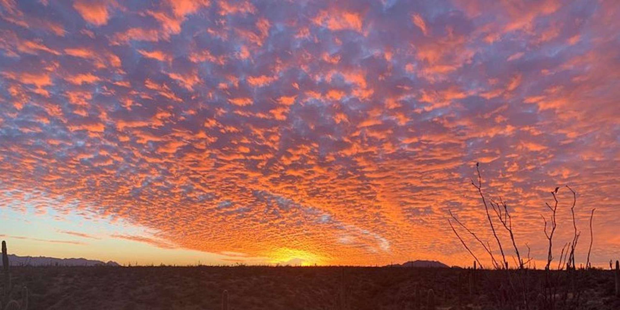 Scottsdale Desert Jeep Tour at Sunset - Image 3