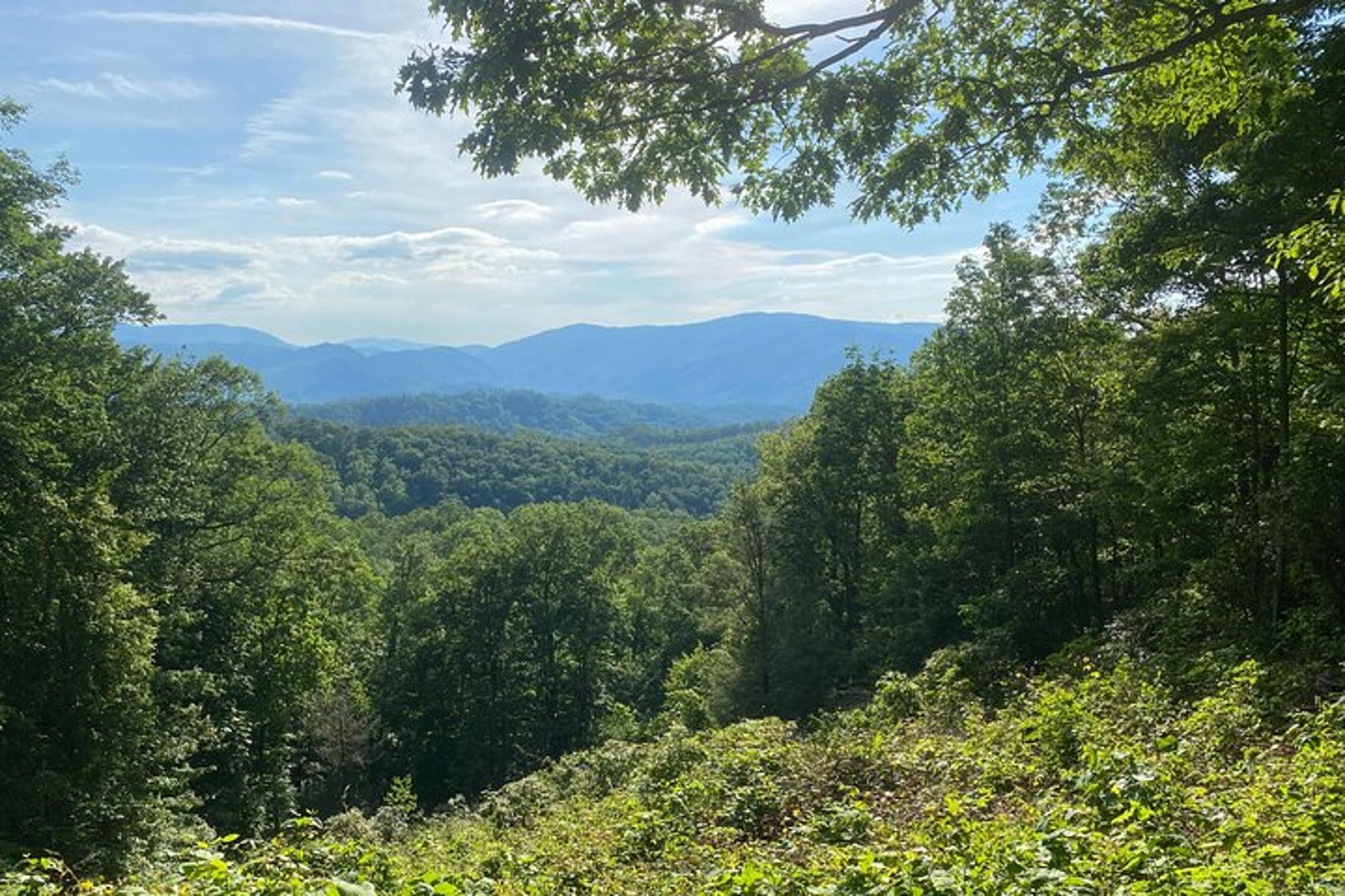 Smoky Mountains Roaring Fork Sightseeing Jeep Tour - Image 6