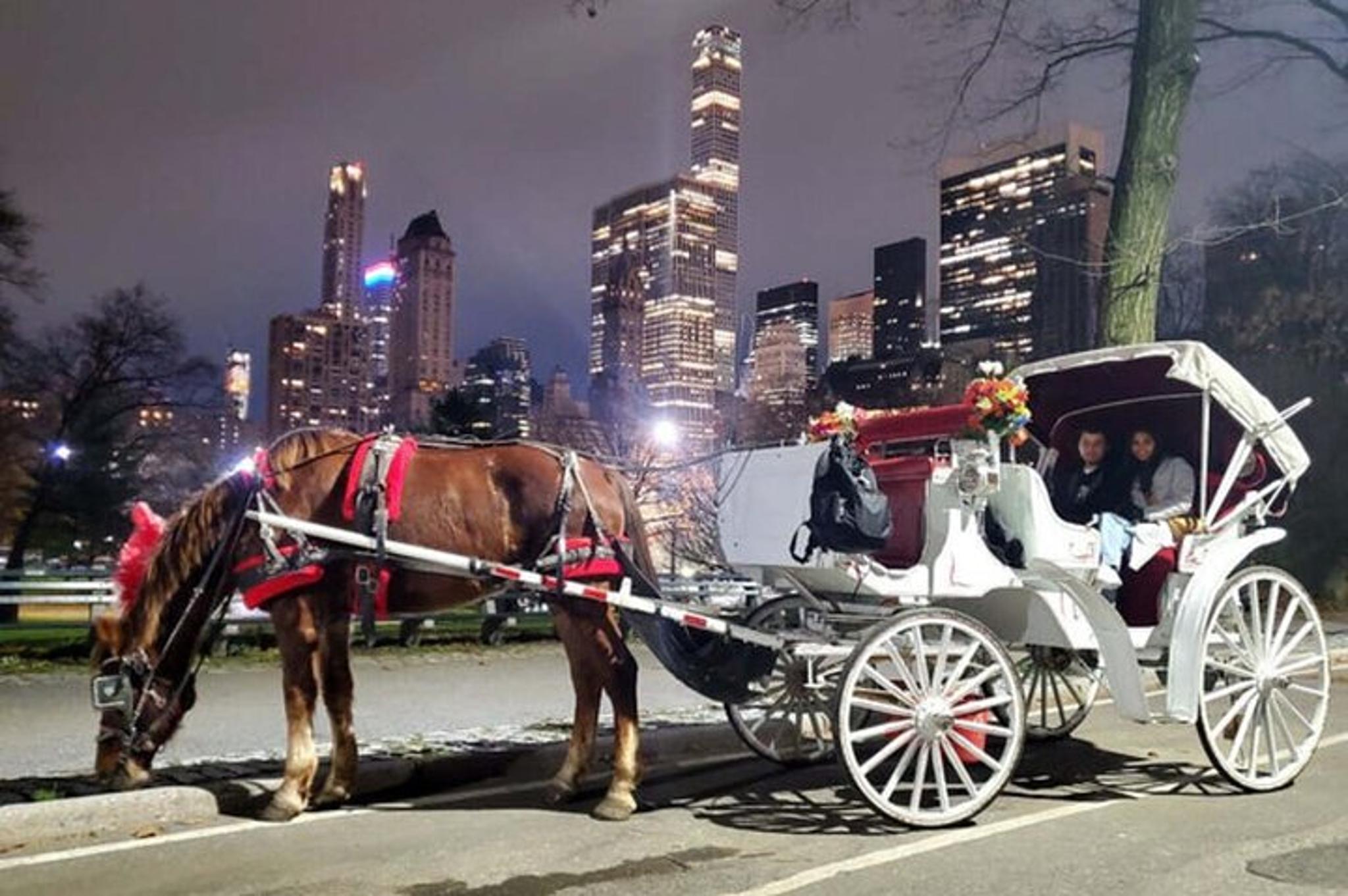 New York City Christmas Light Tour - Image 3