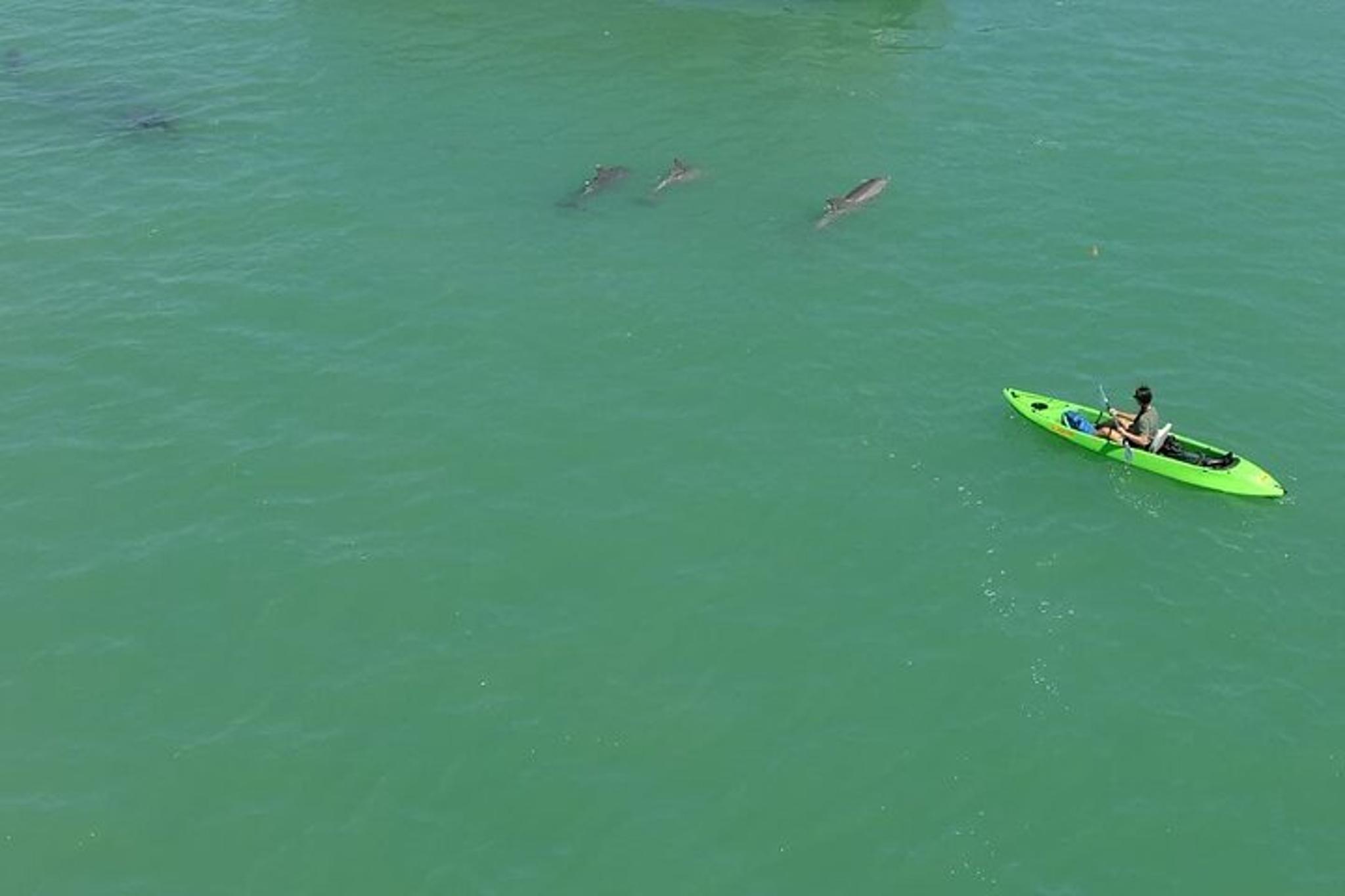 St. Pete Beach Glass Bottom Kayak Adventure