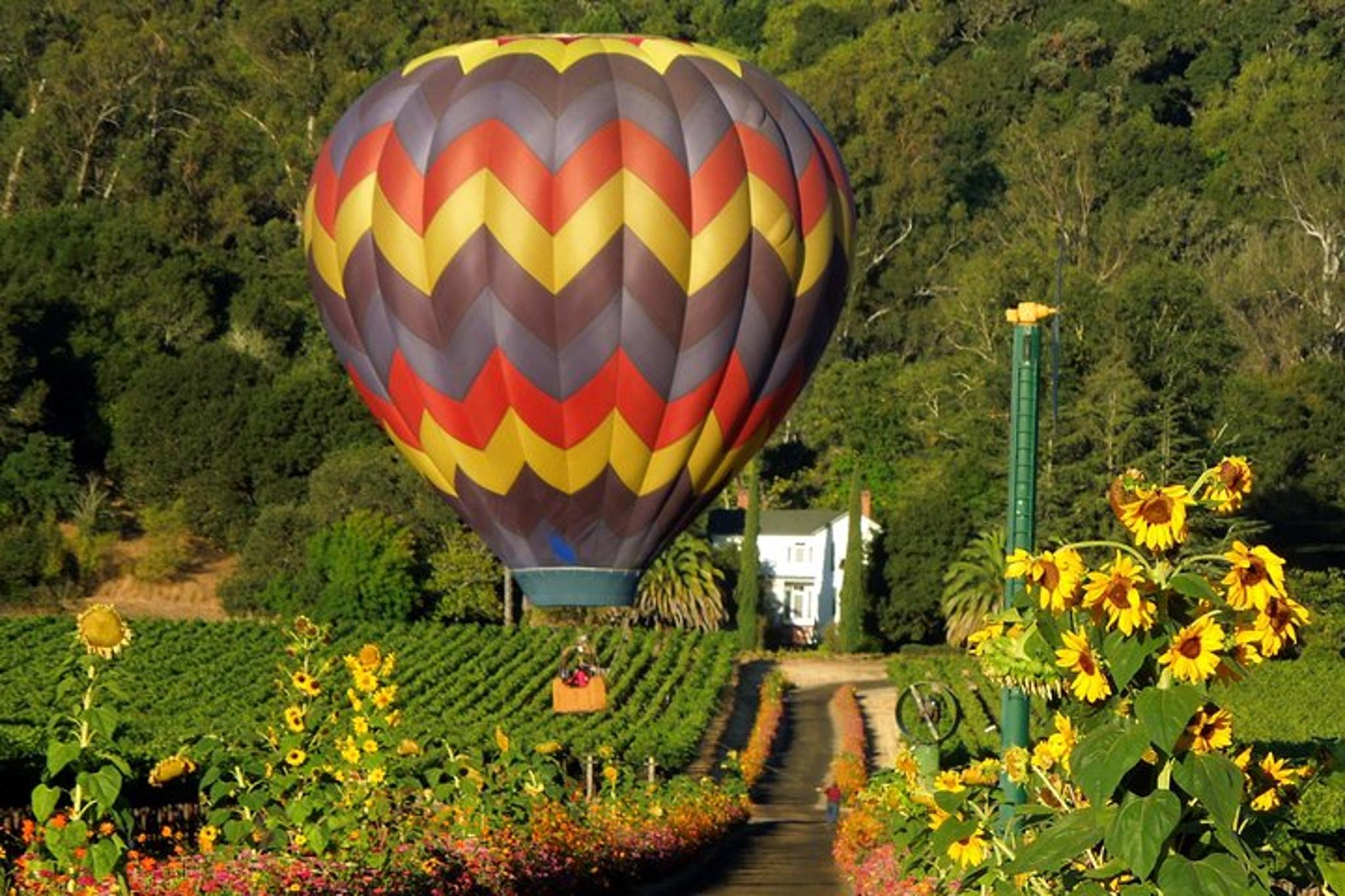 Napa Valley Balloon Ride and Wine Tour