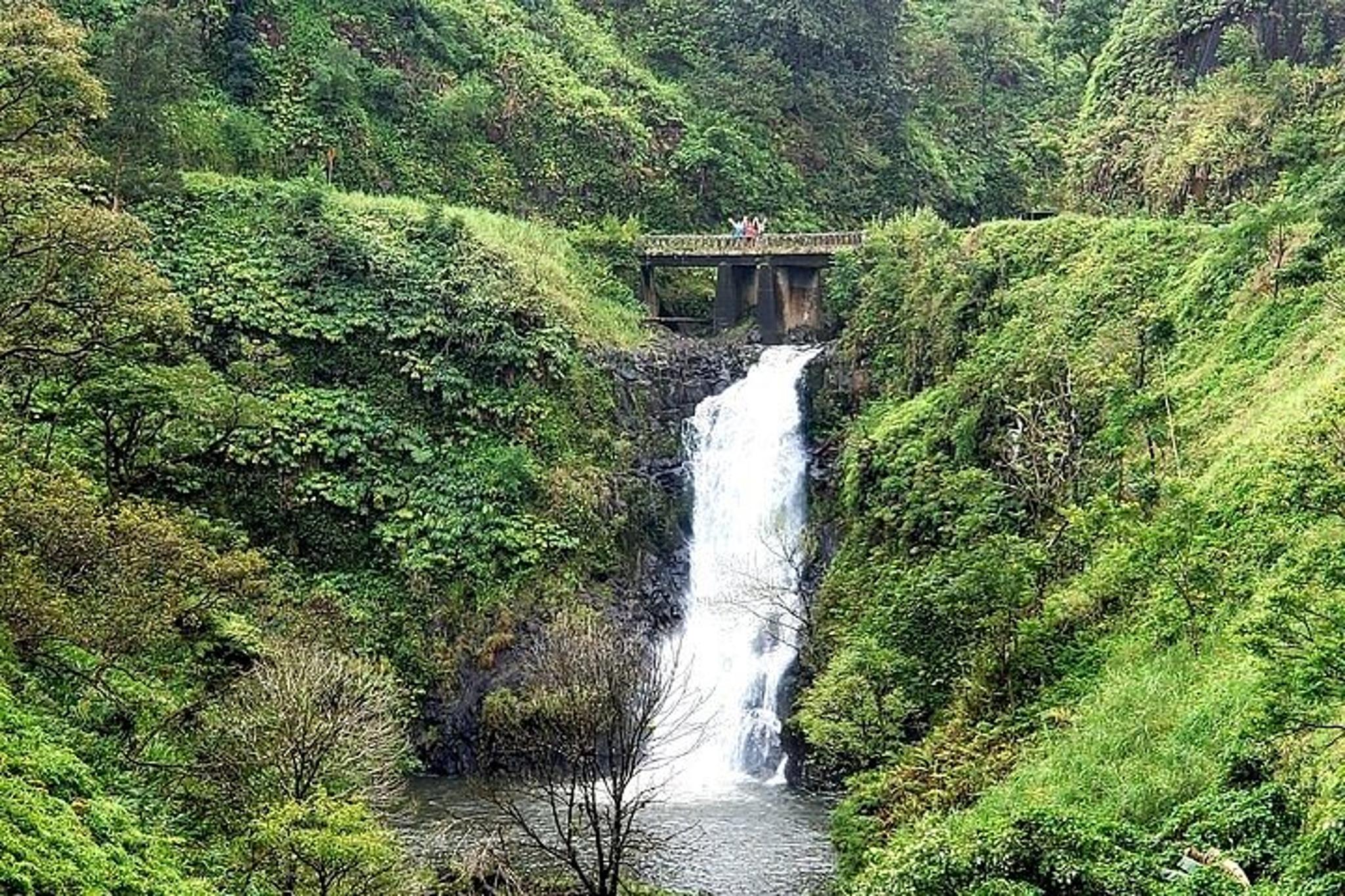Maui Road to Hana Tour - Image 4