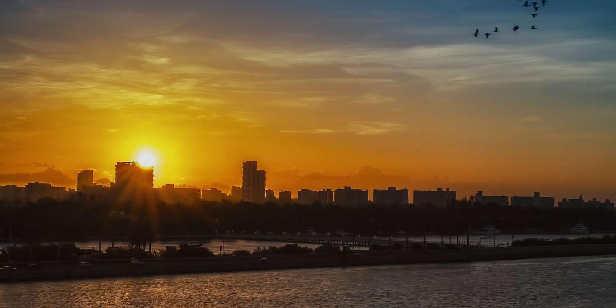 Miami Sunset Private Helicopter Tour - Image 4