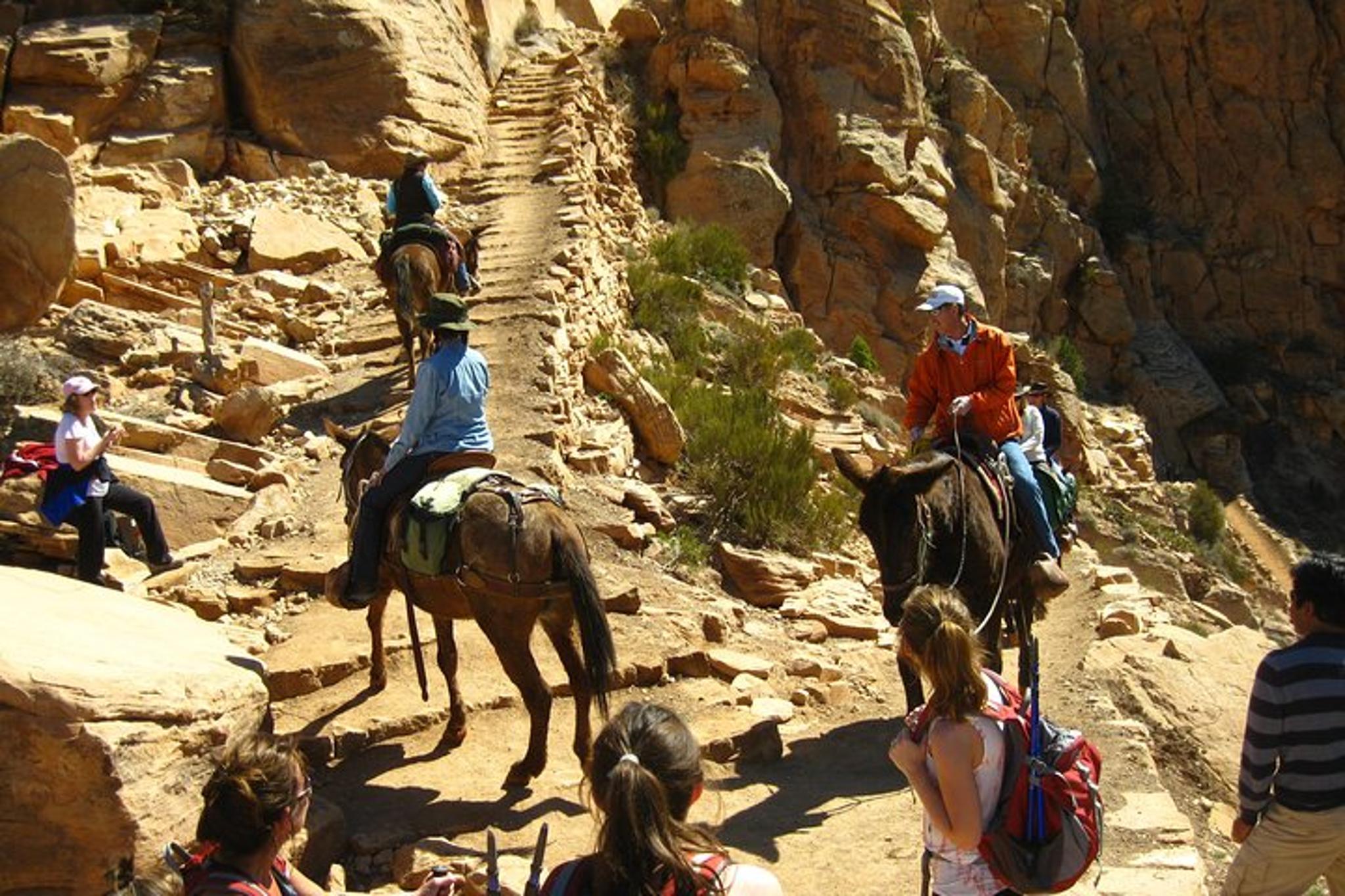 Sedona Grand Canyon Hike with Hotel Pickup - Image 6