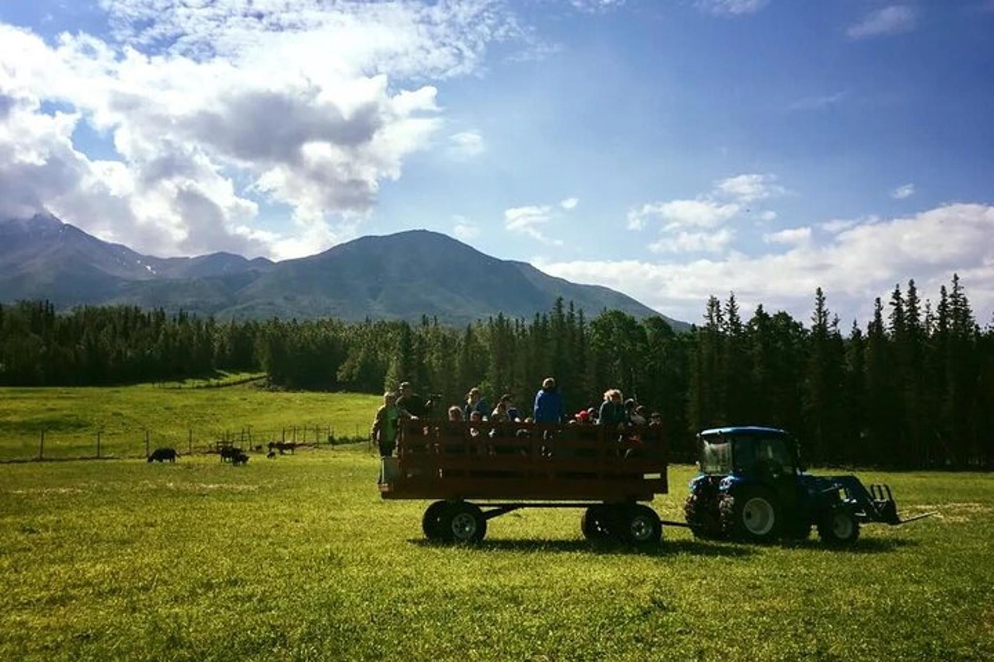 Anchorage Trail Ride and Homestead Tour - Image 5