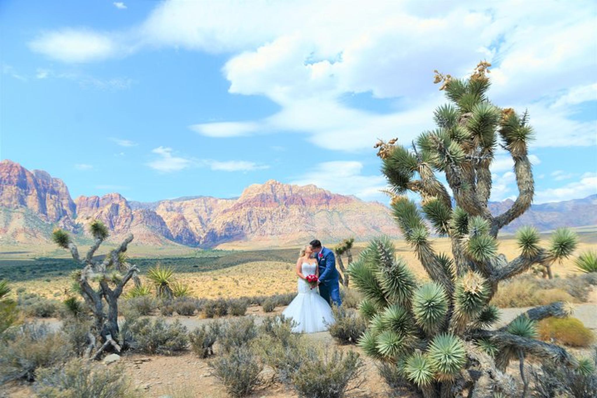 Las Vegas Red Rock Canyon Wedding by Limousine - Image 4