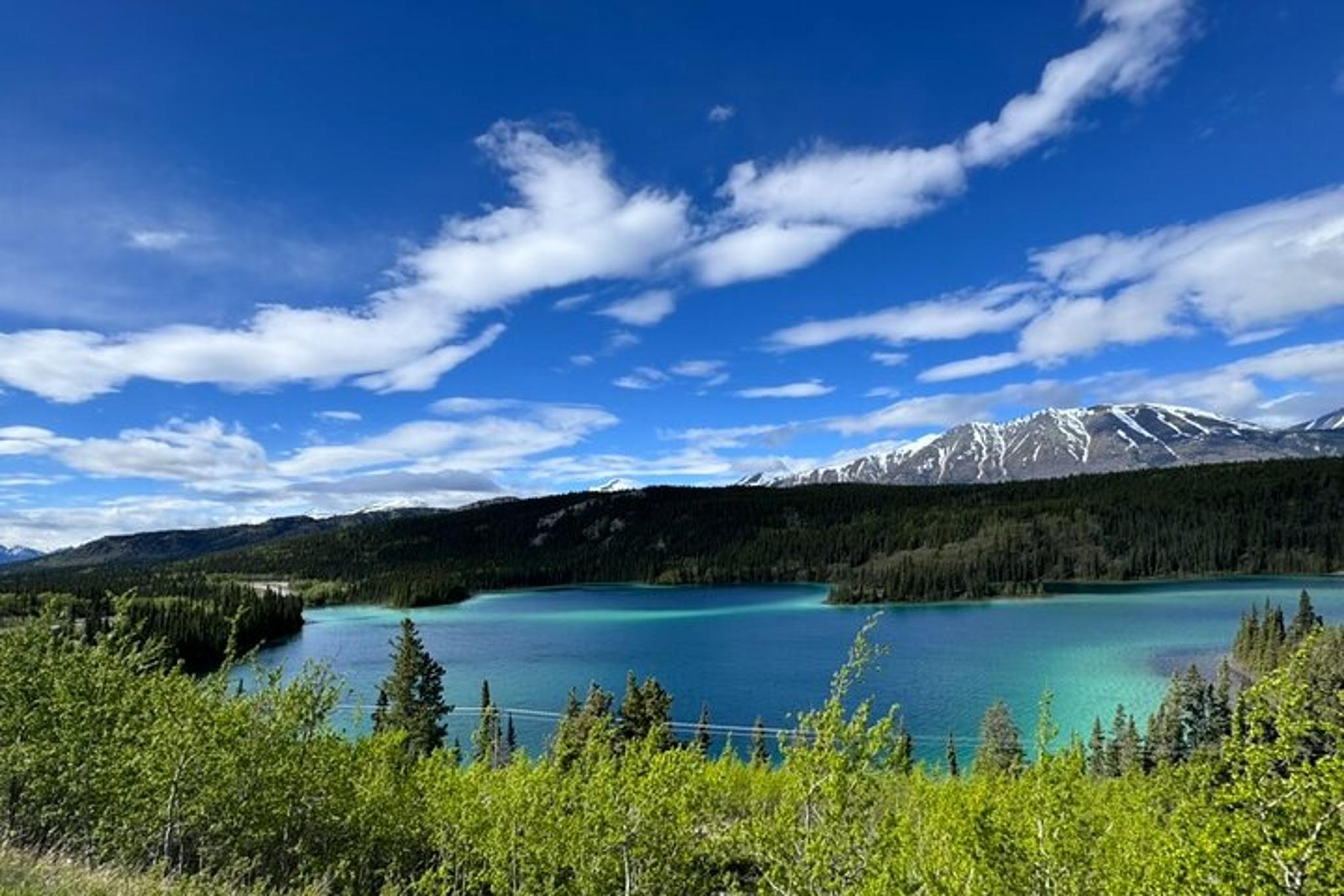 Skagway Emerald Lake Tour with Huskies - Image 3