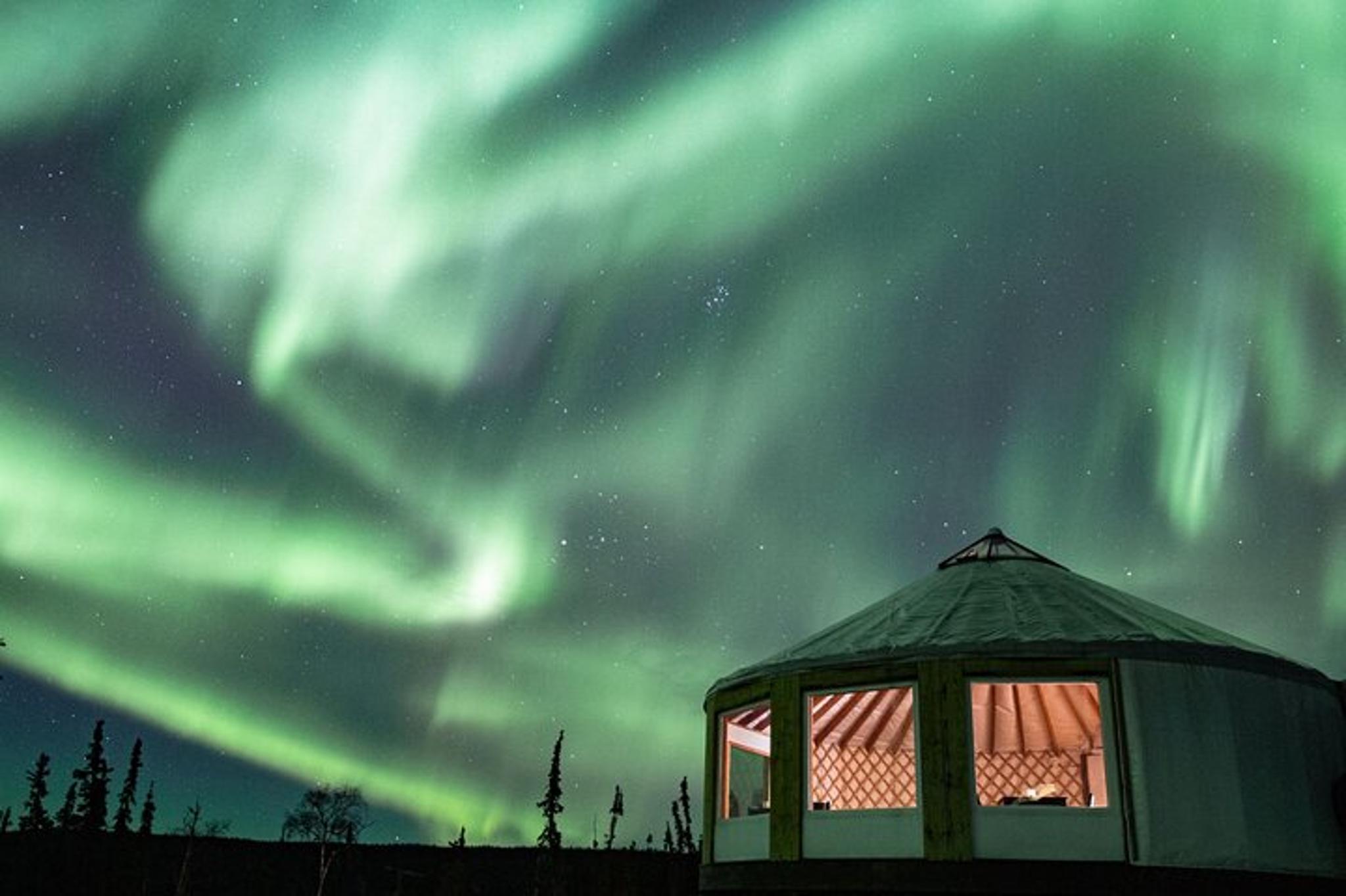 Fairbanks Aurora Viewing and Dinner 6 hr - Image 2