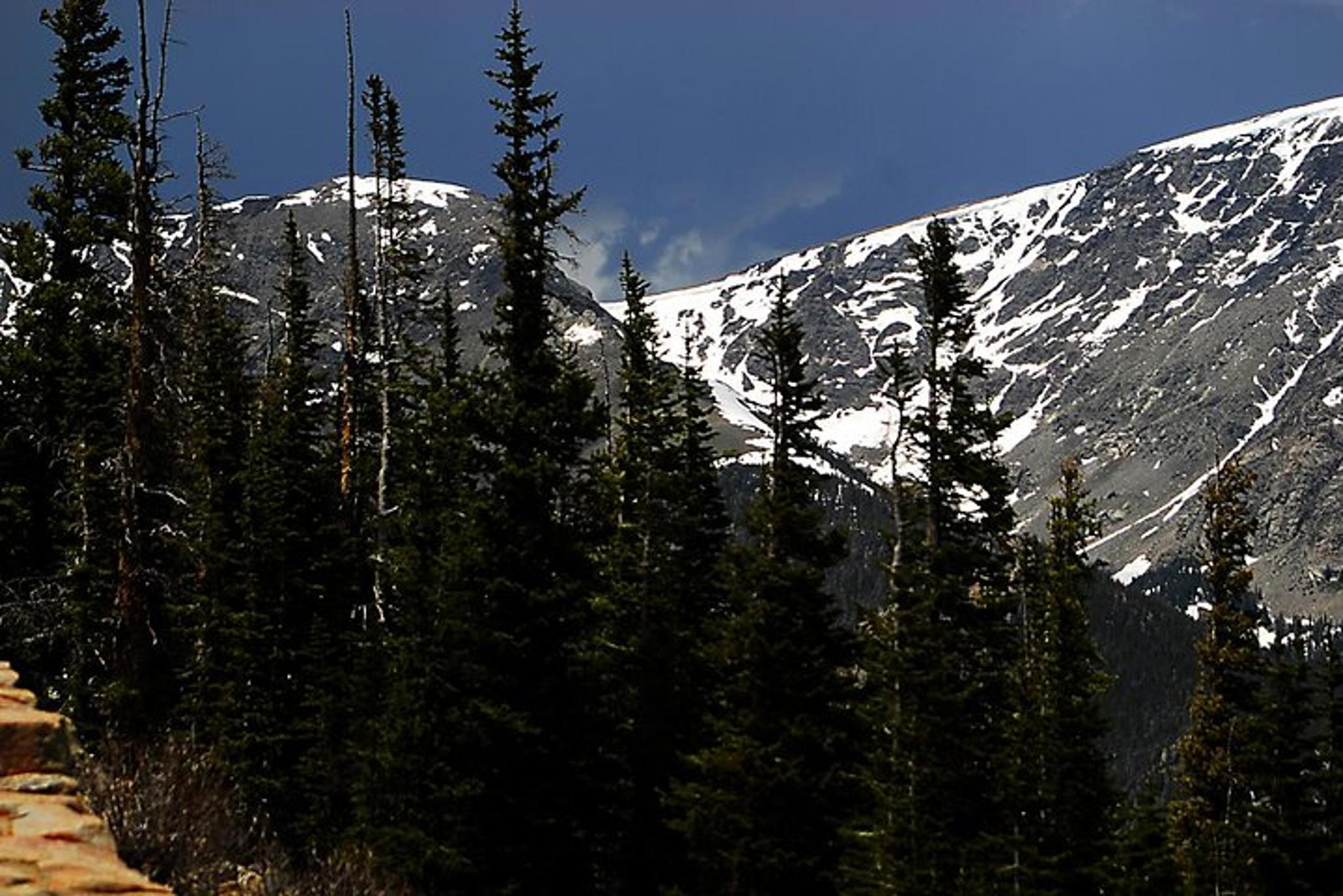 Denver Rocky Mountain National Park Tour - Image 6