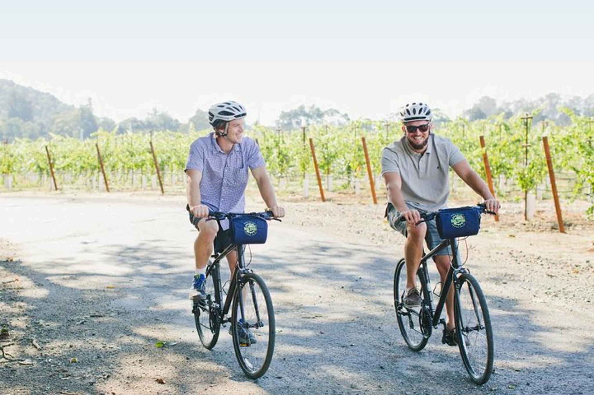 Napa Winery E-Bike Tour - Image 6