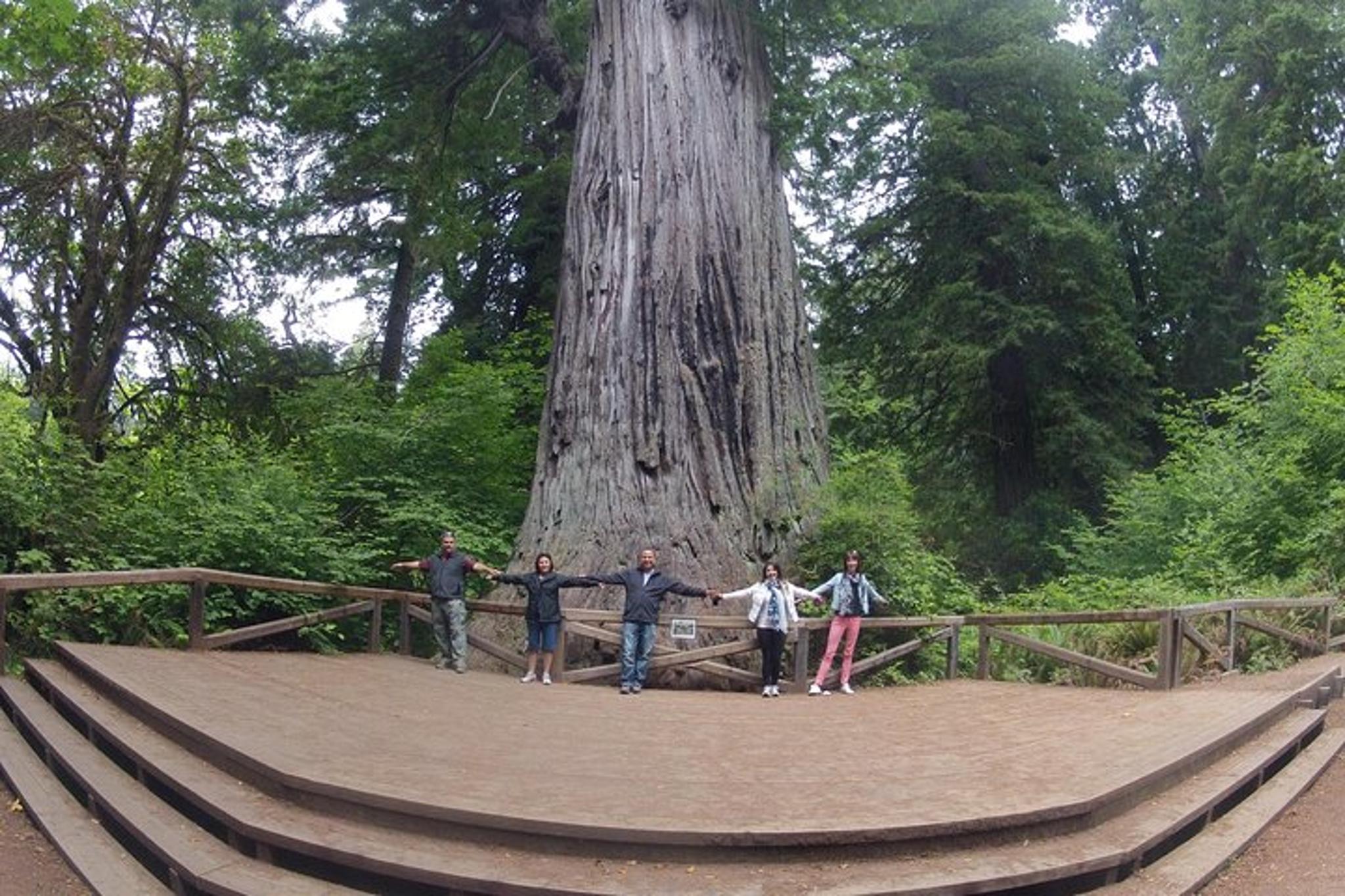Redwood National Park Private Tour 3-Day Package - Image 6