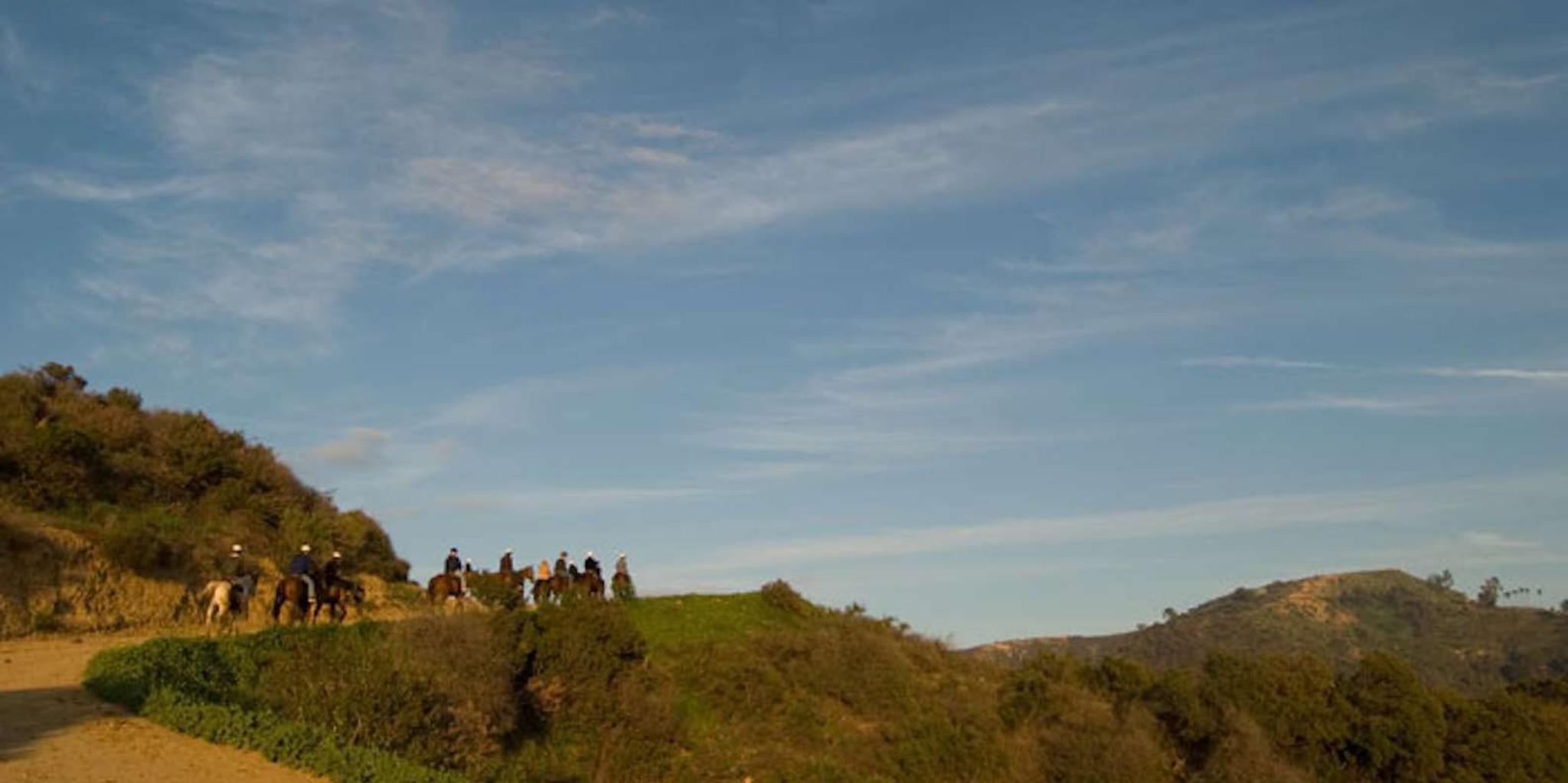 Los Angeles Mulholland Trail Horseback Riding Tour - Image 5