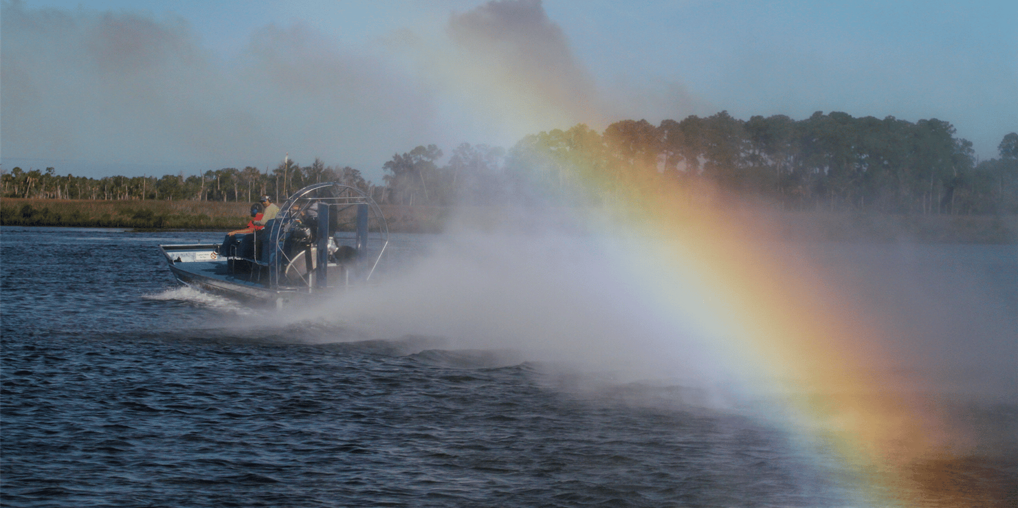 Homosassa Airboat Ride and Dolphin Watching - Image 4