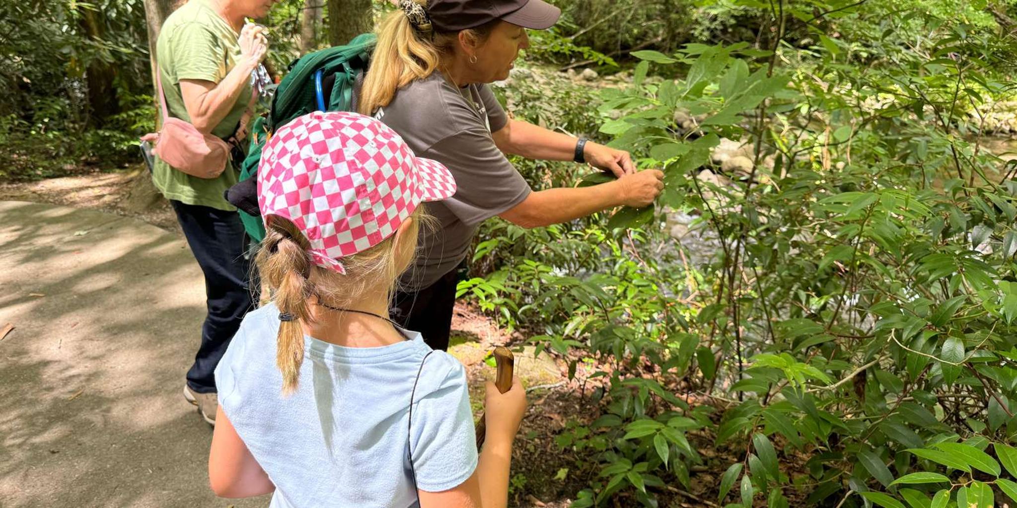 Gatlinburg Adventure Hike and Craft for Kids 3 hr - Image 4