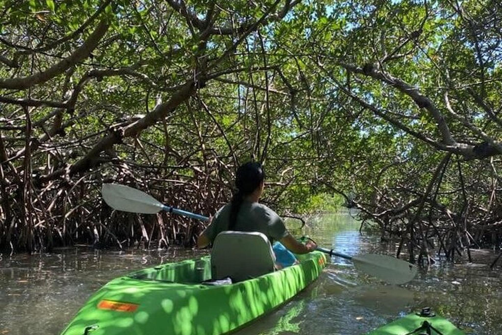 St. Pete Beach Glass Bottom Kayak Adventure - Image 4
