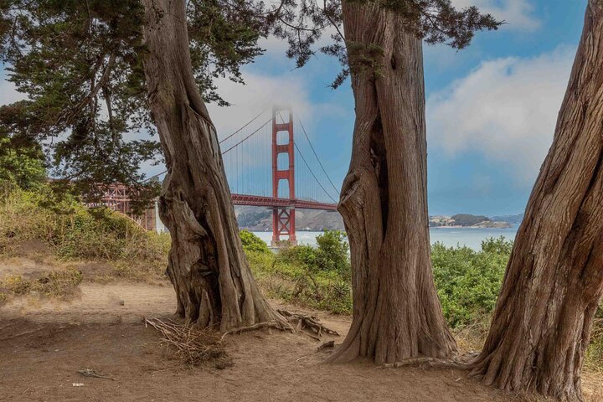 San Francisco Audio Tour: Palace of Fine Arts to Golden Gate Bridge - Image 6