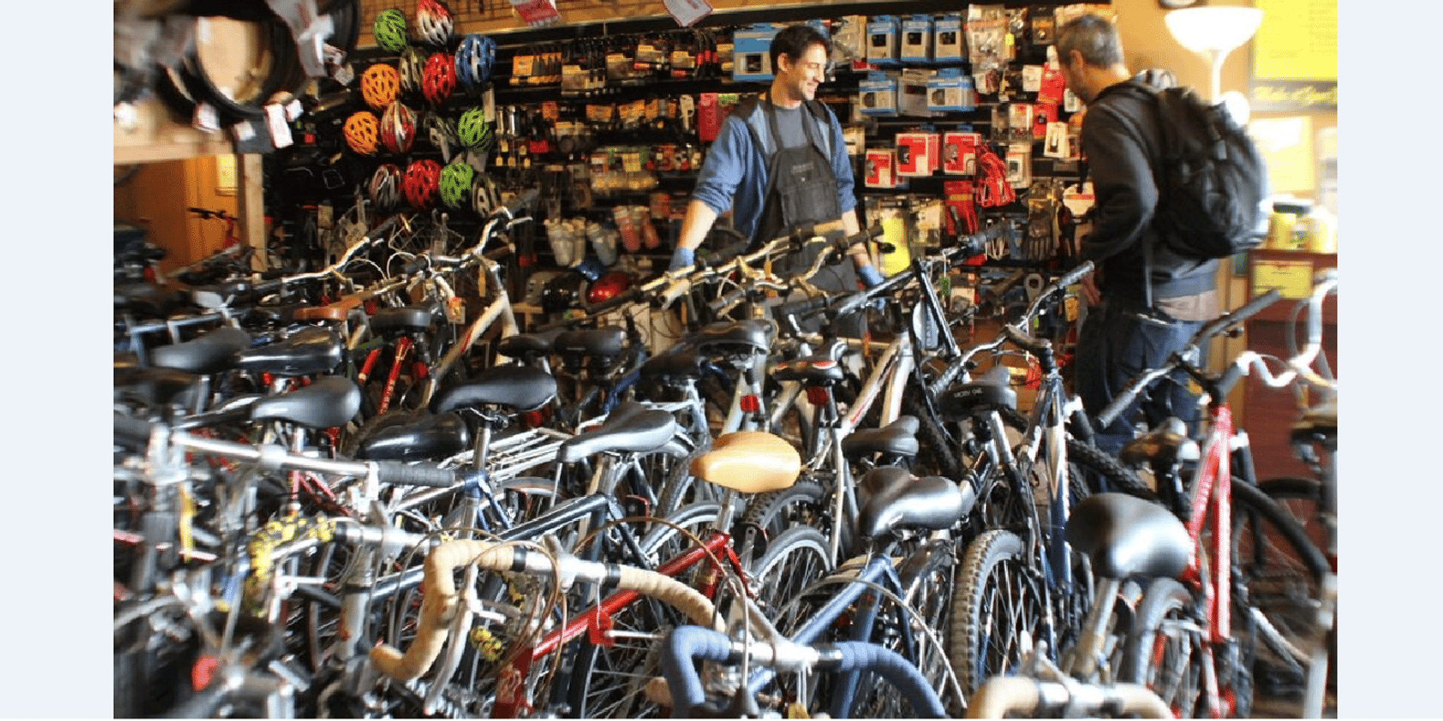 San Francisco Golden Gate Park Bike Ride - Image 5