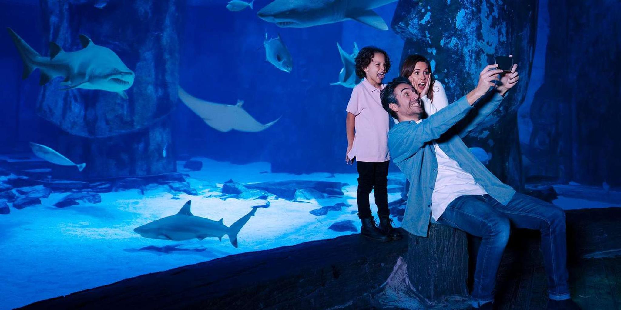 Bloomington Sea Life Minnesota Aquarium Entry