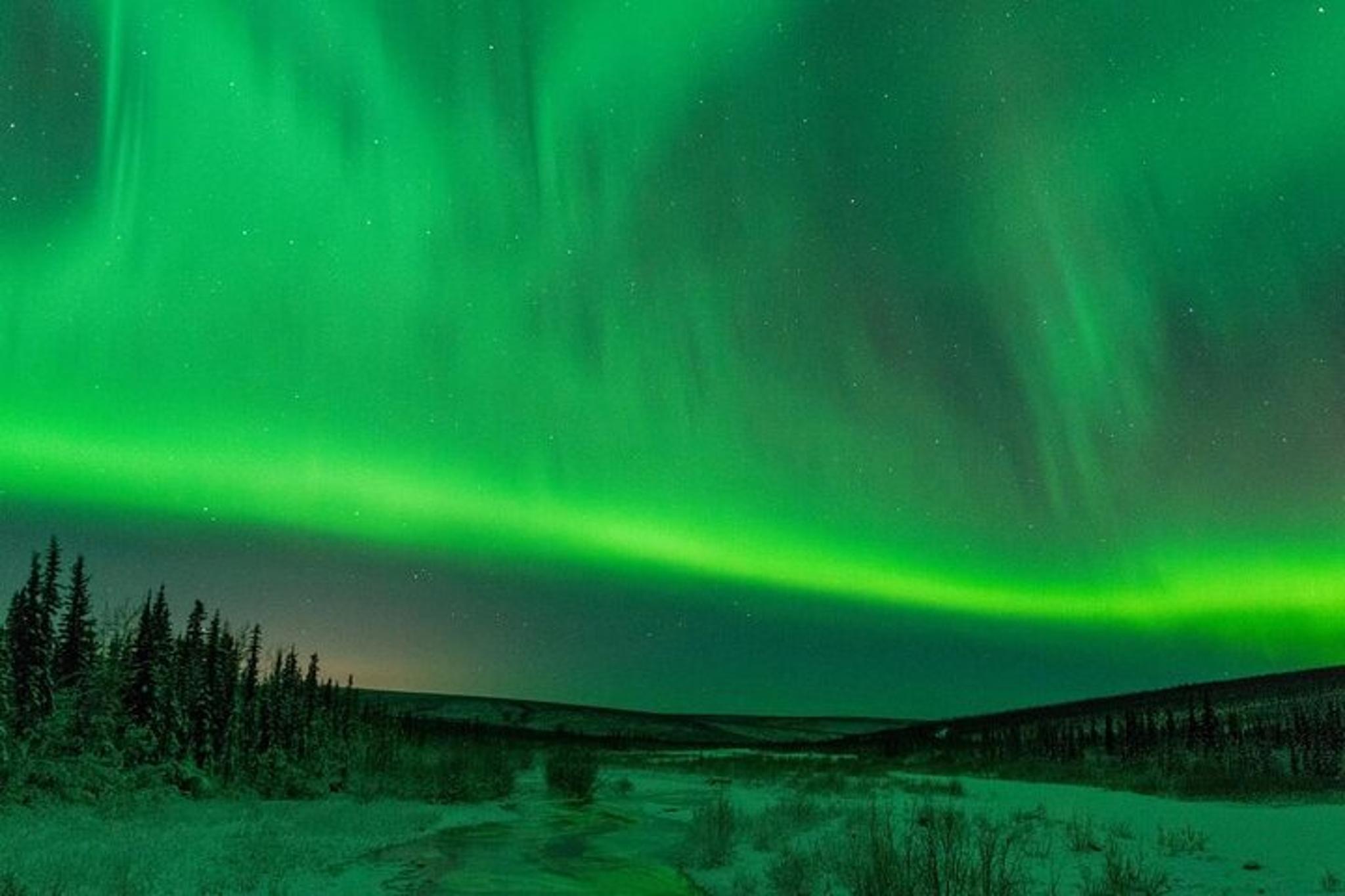 Fairbanks Dog Sled and ATV Adventure - Image 3
