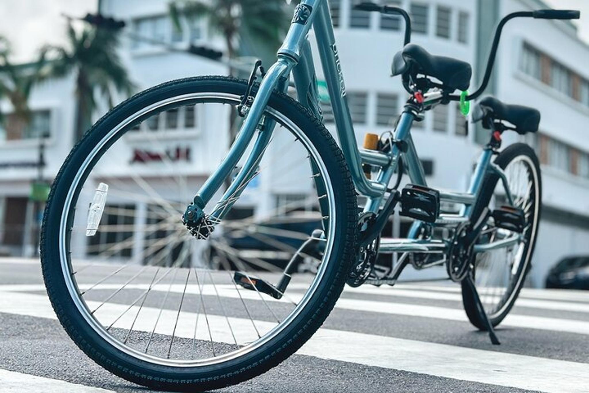 Miami Beach Electric Tandem Bike Rental - Image 3